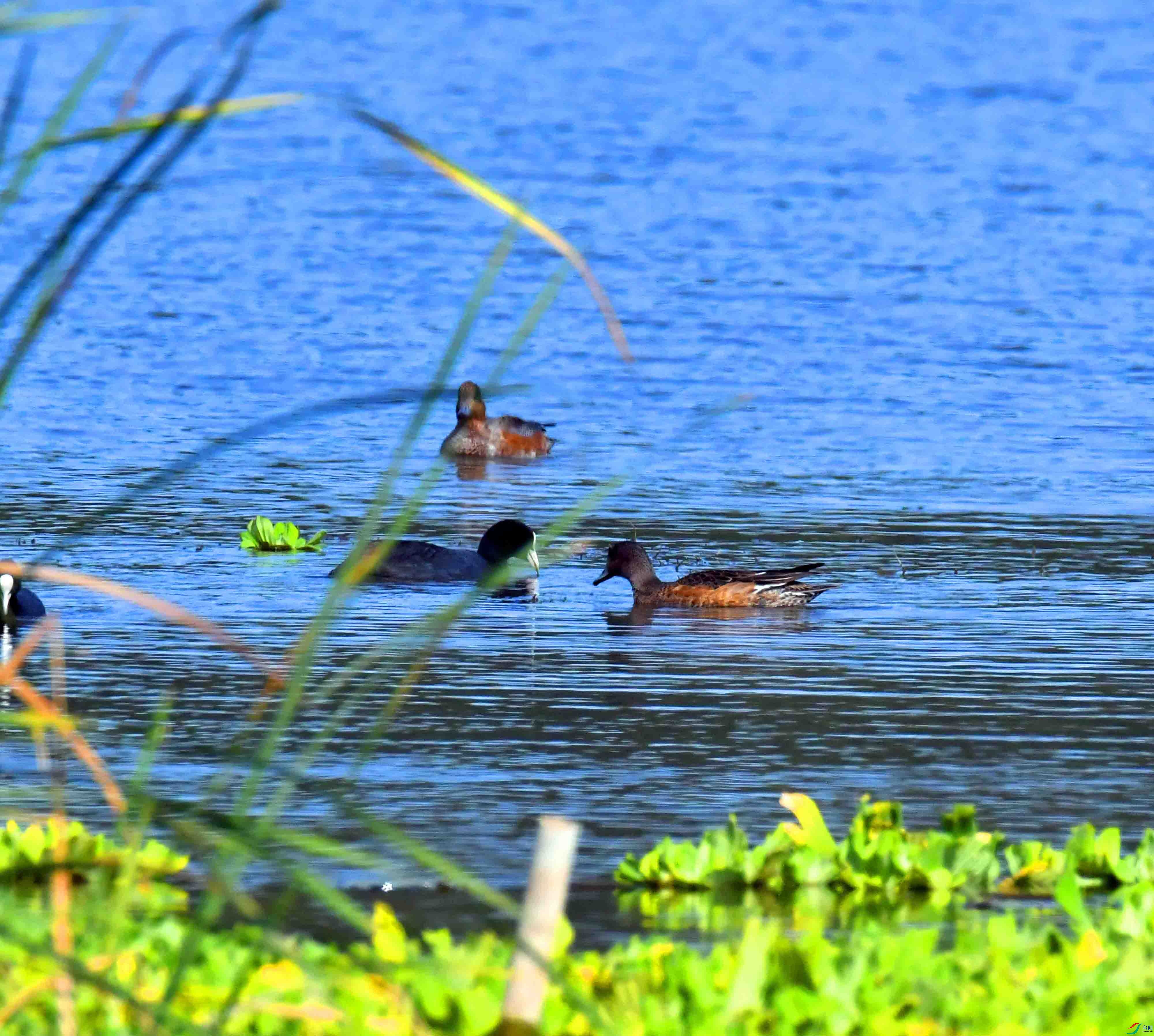 DSC_3128.JPG