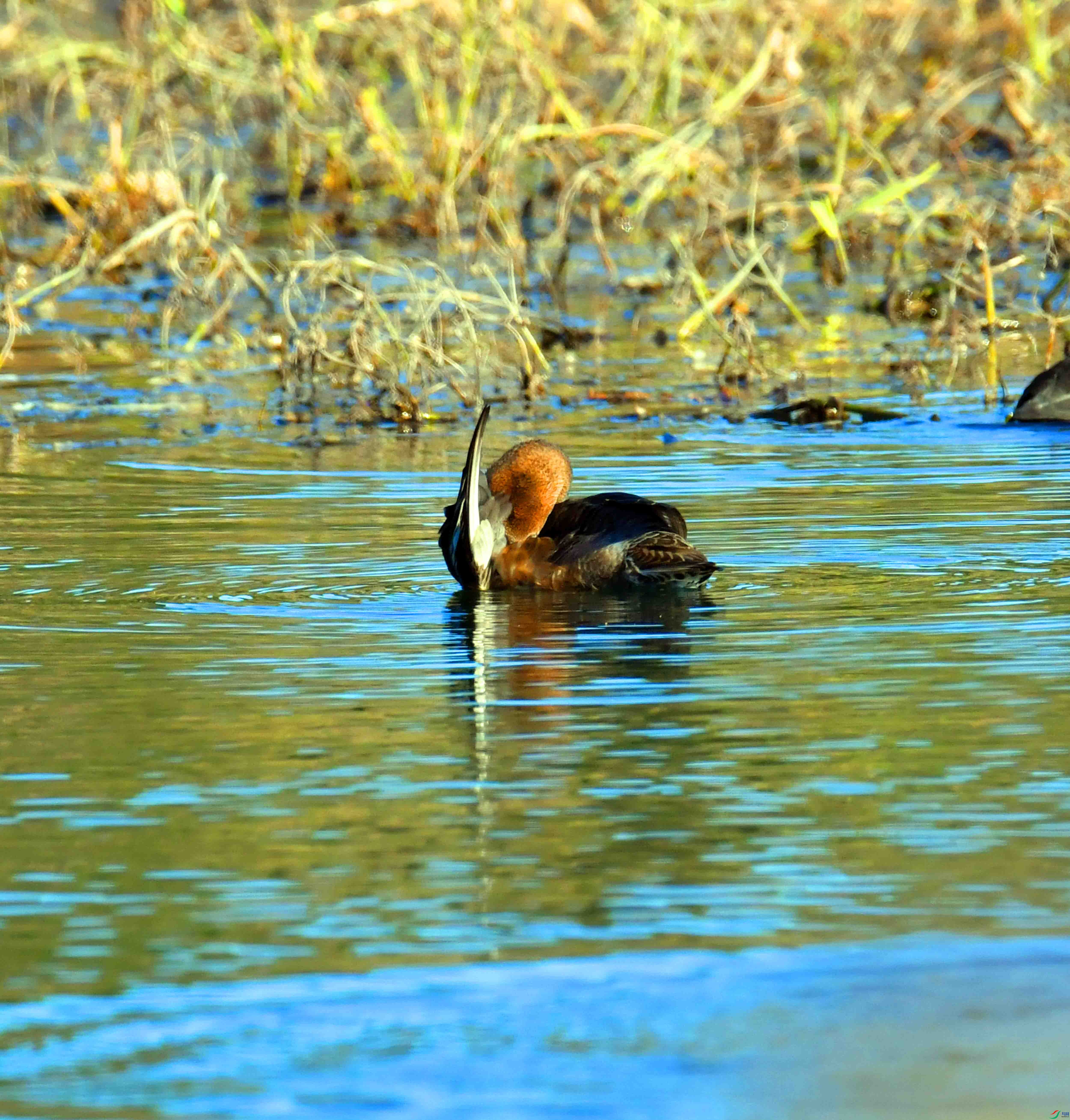 DSC_5205.JPG