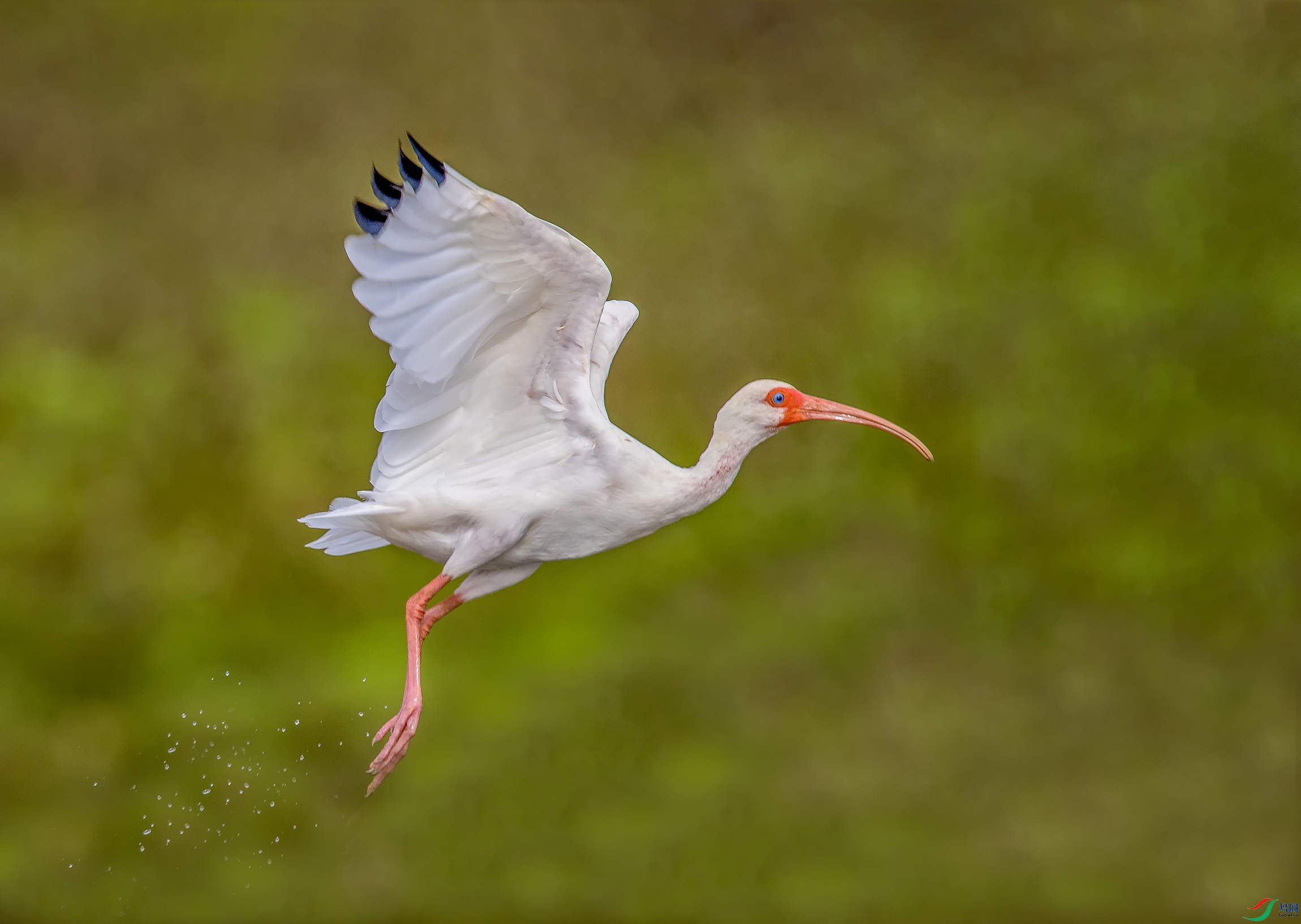 _DSC9702a.jpg