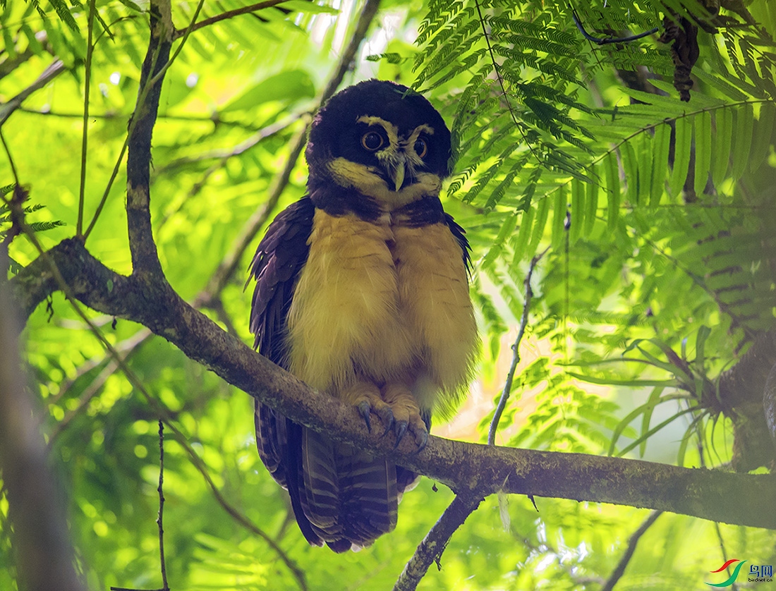 _DSC8994.jpg