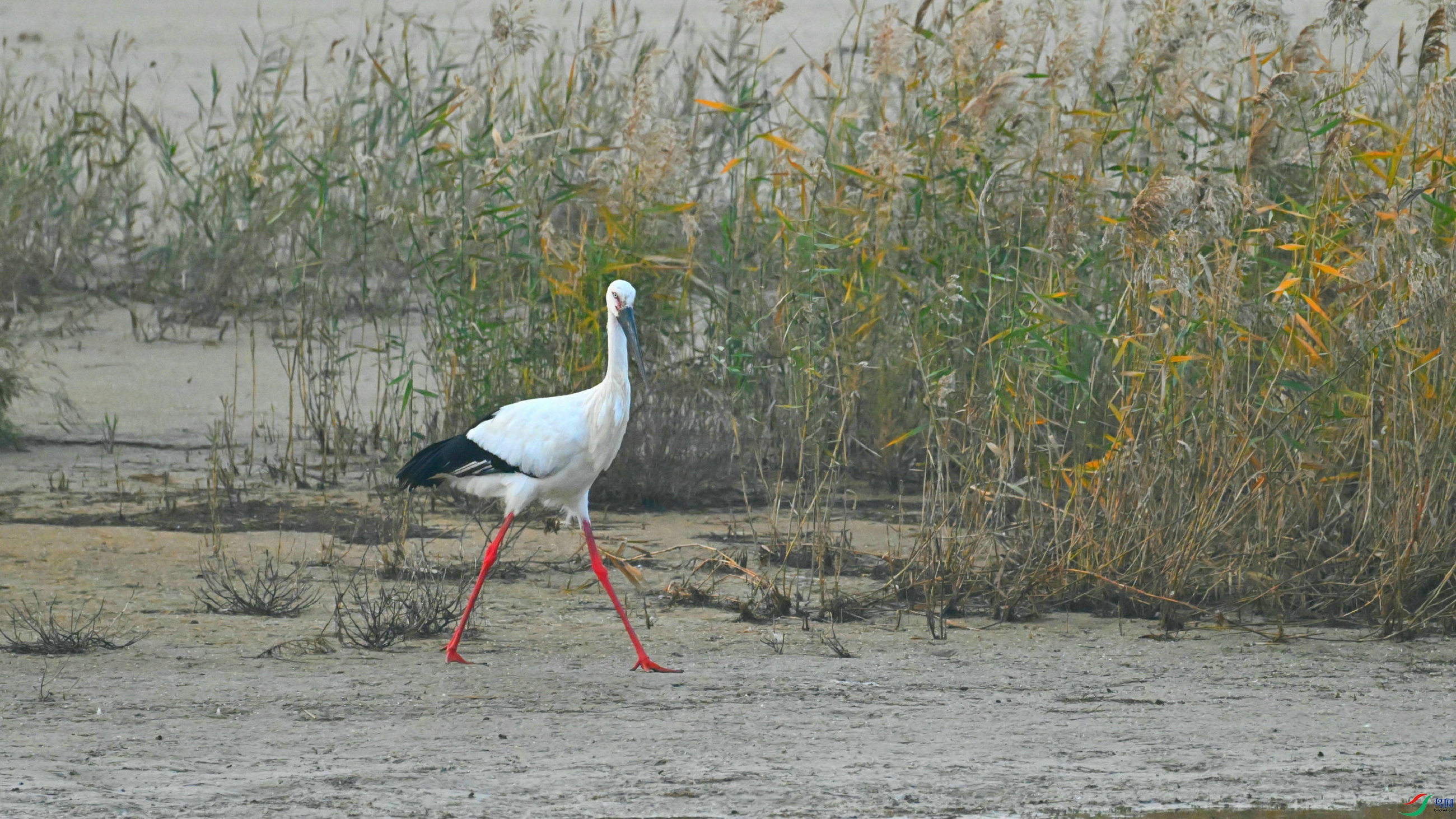 DSC_9192.JPG