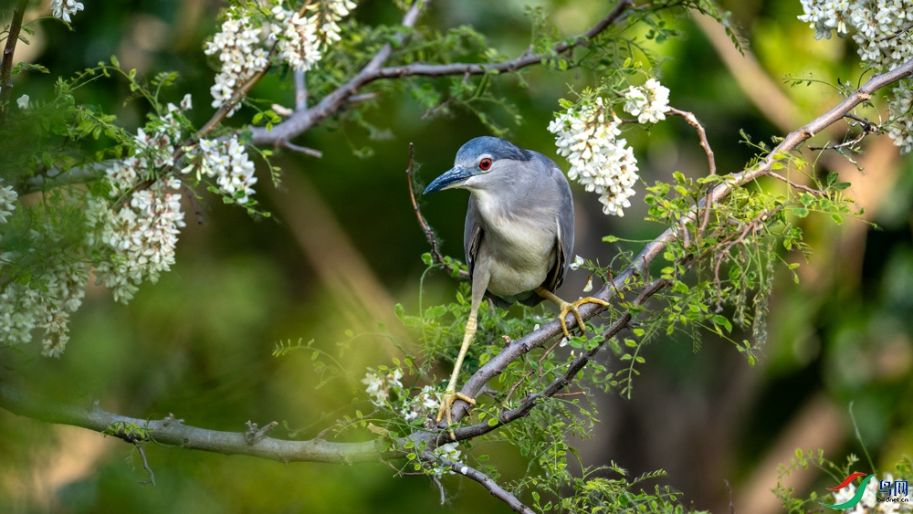 DSC_8817.jpg