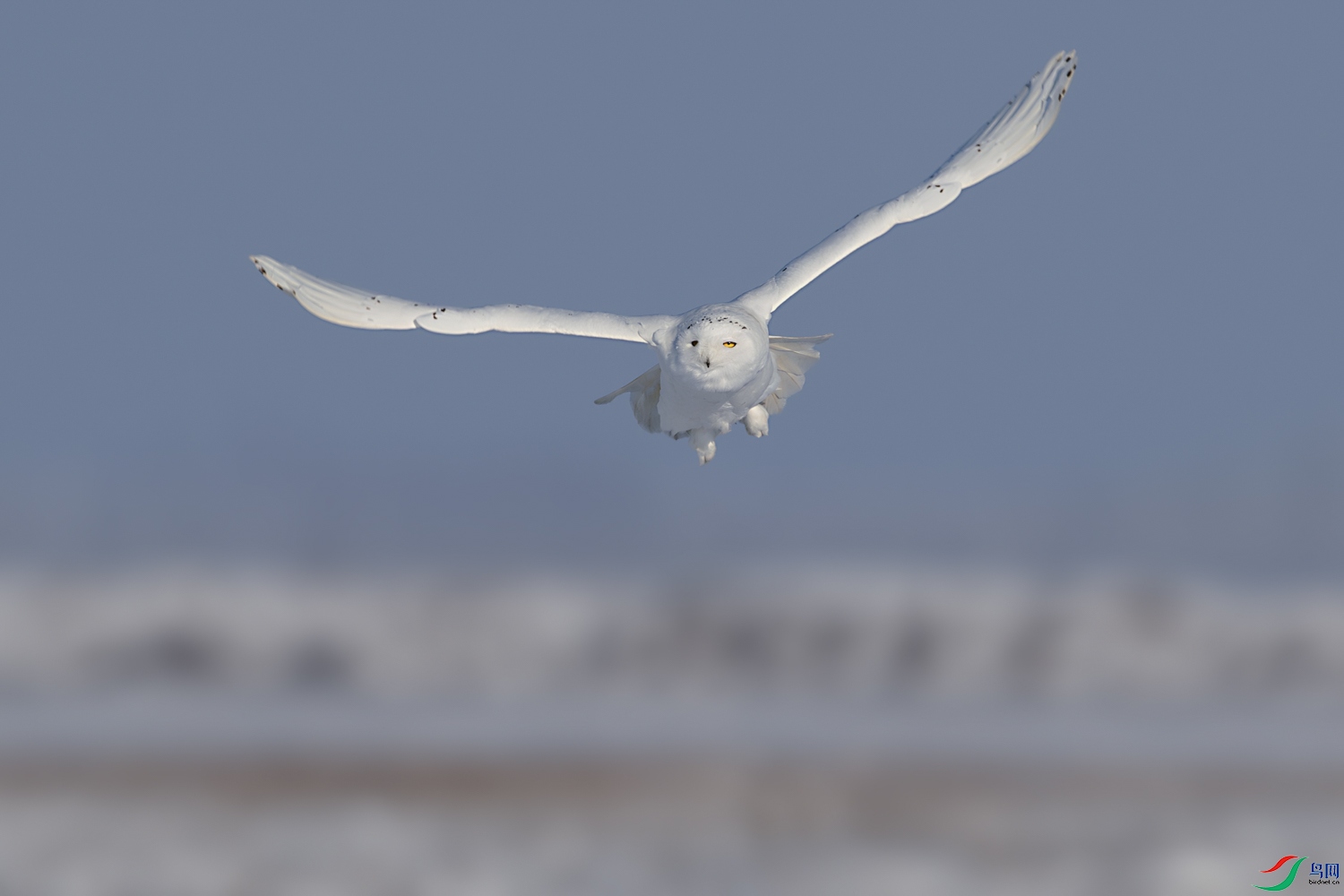 AQ9I5524-����ǿ-NR ����.jpg