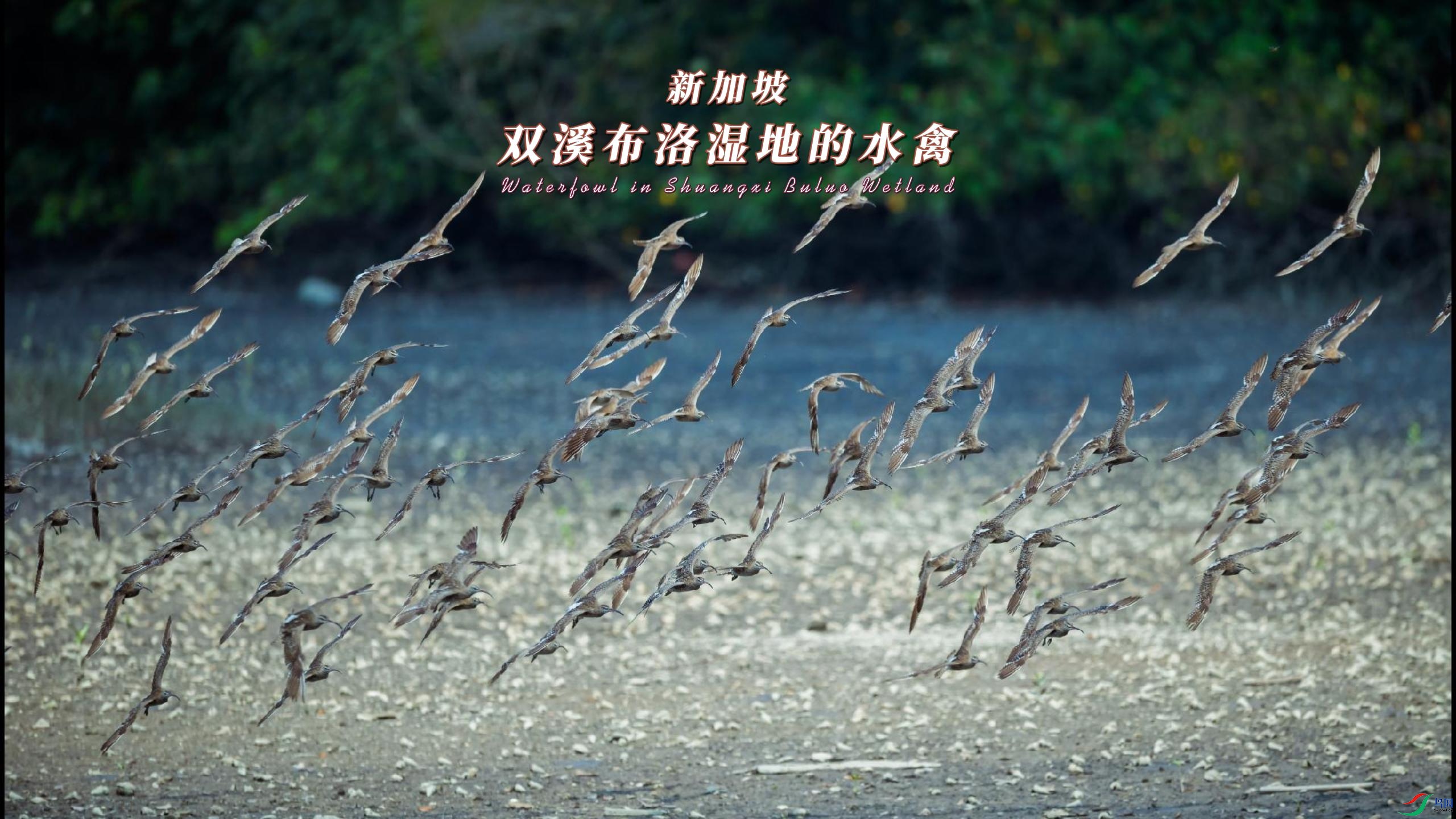 �¼��� ˫Ϫ����ʪ�ص�ˮ��-����.jpg