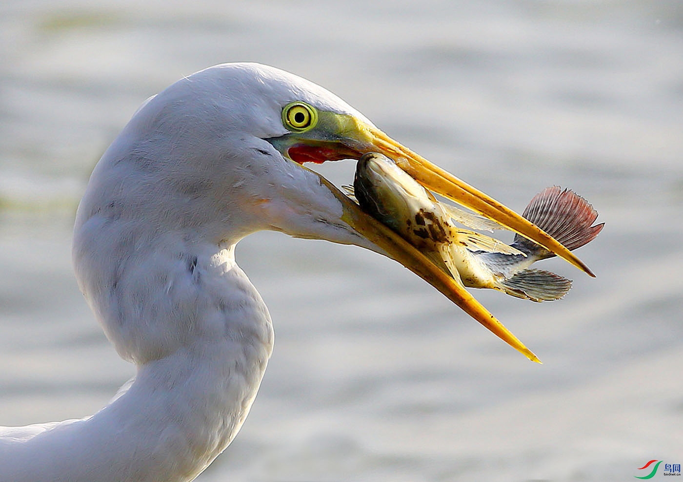 05-�� ��.jpg