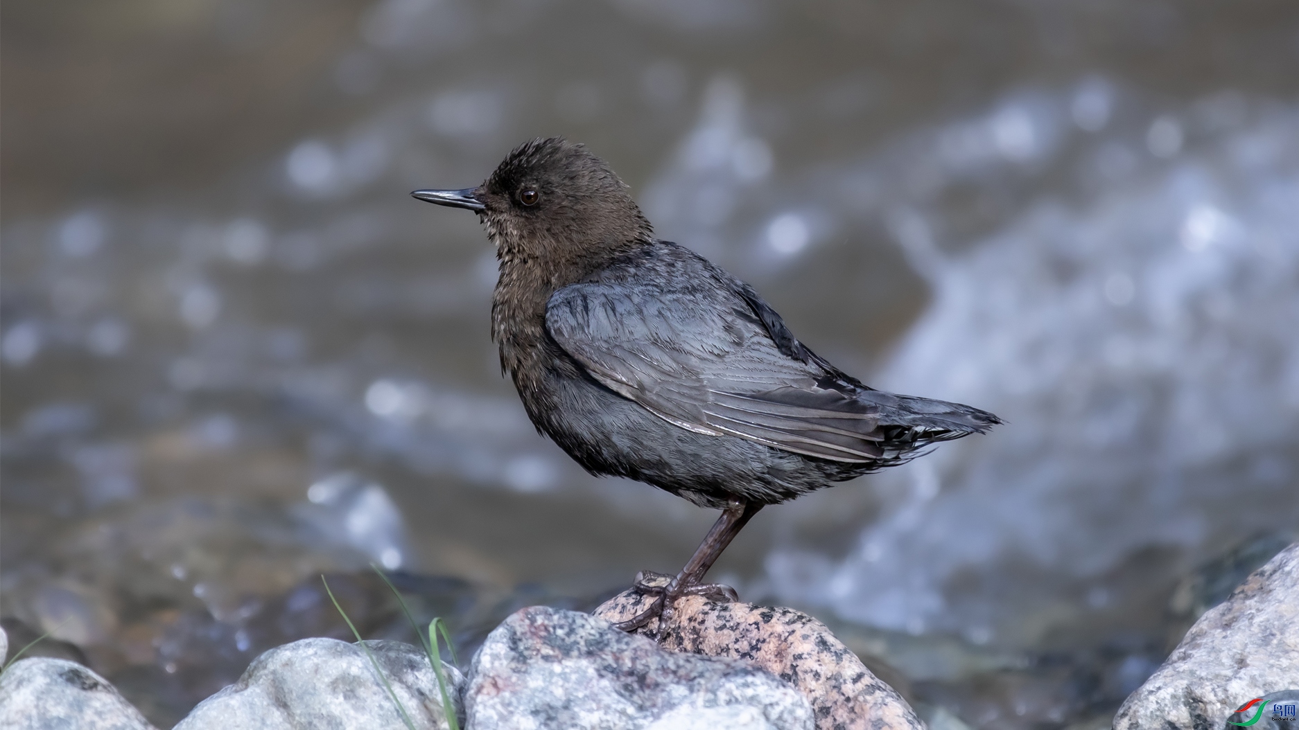 I99A1825 ����OKOK ����.jpg