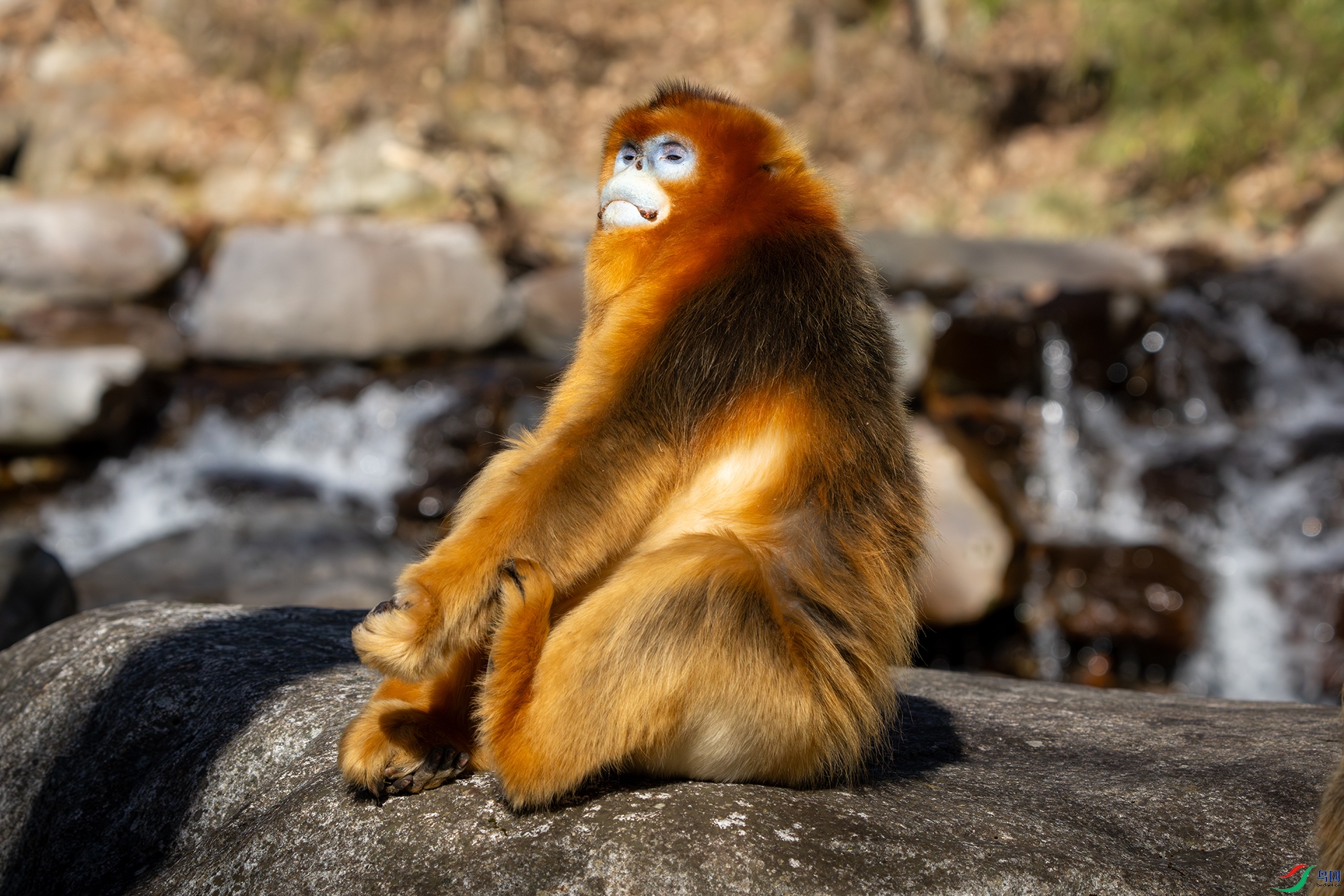 DSC05290 ����.jpg