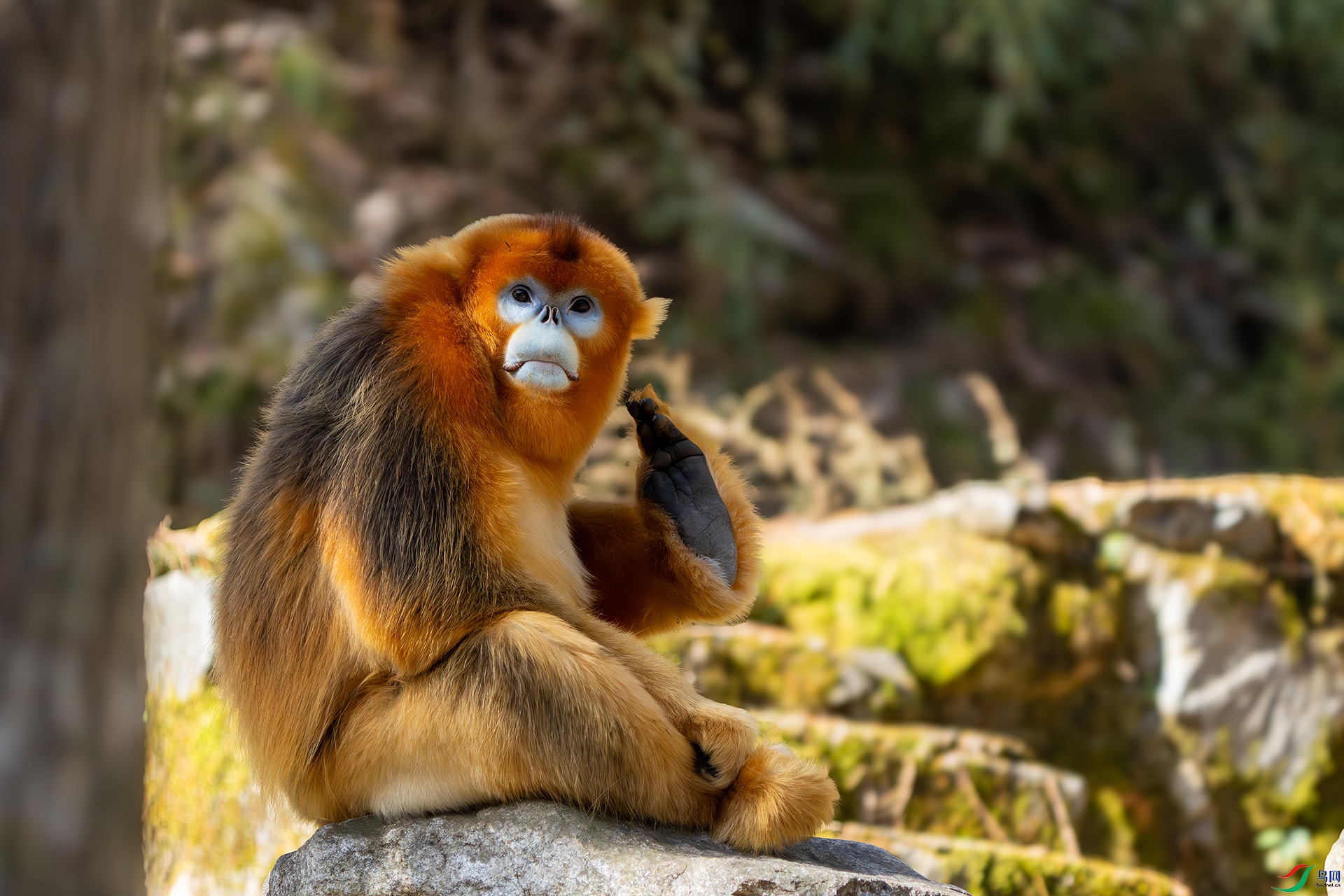 DSC03207 ���� 2.jpg