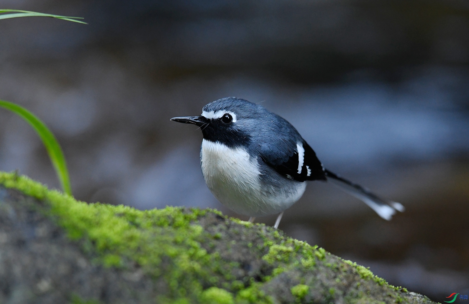 DSC_5369.jpg