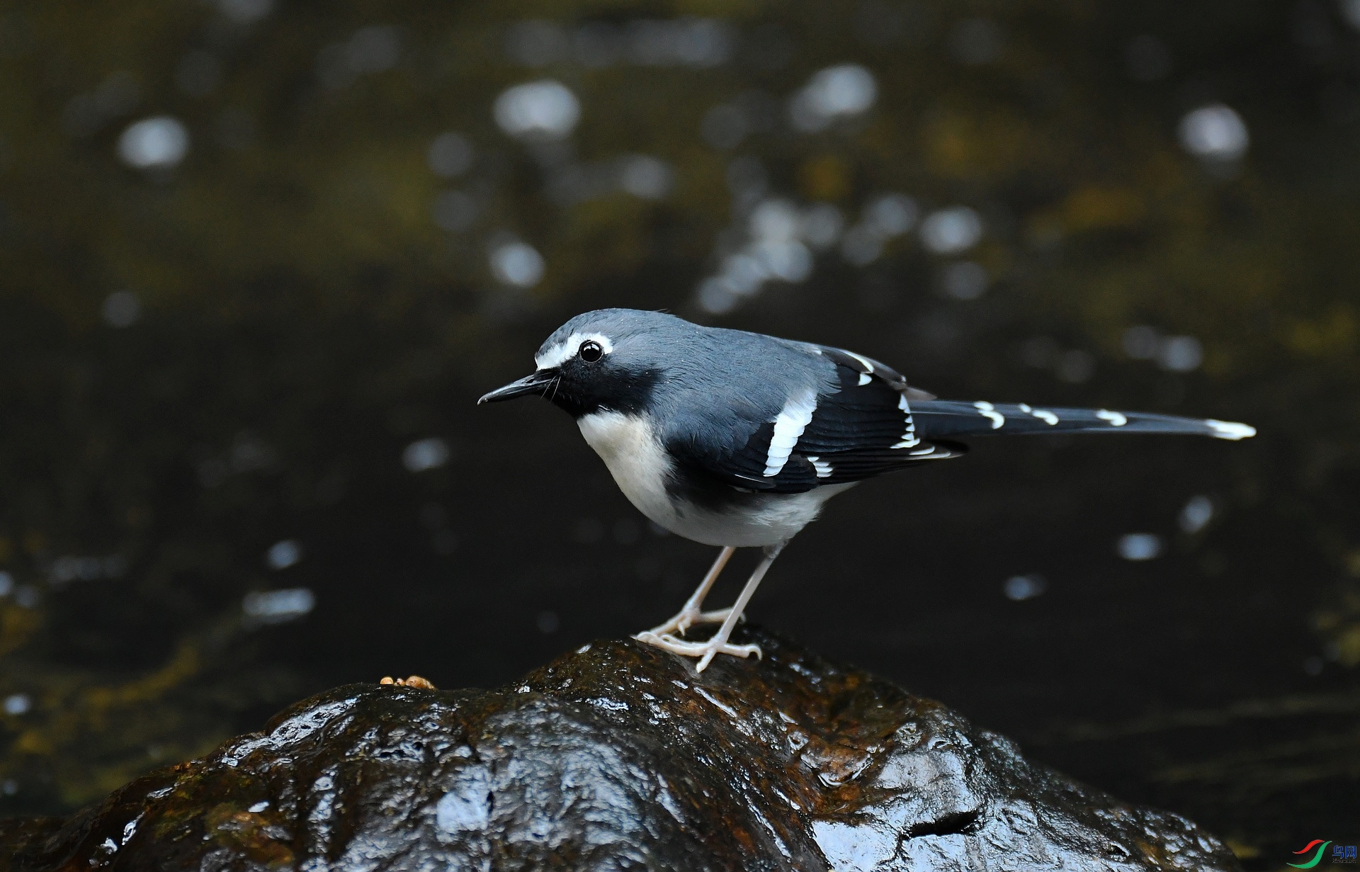 DSC_8626.jpg