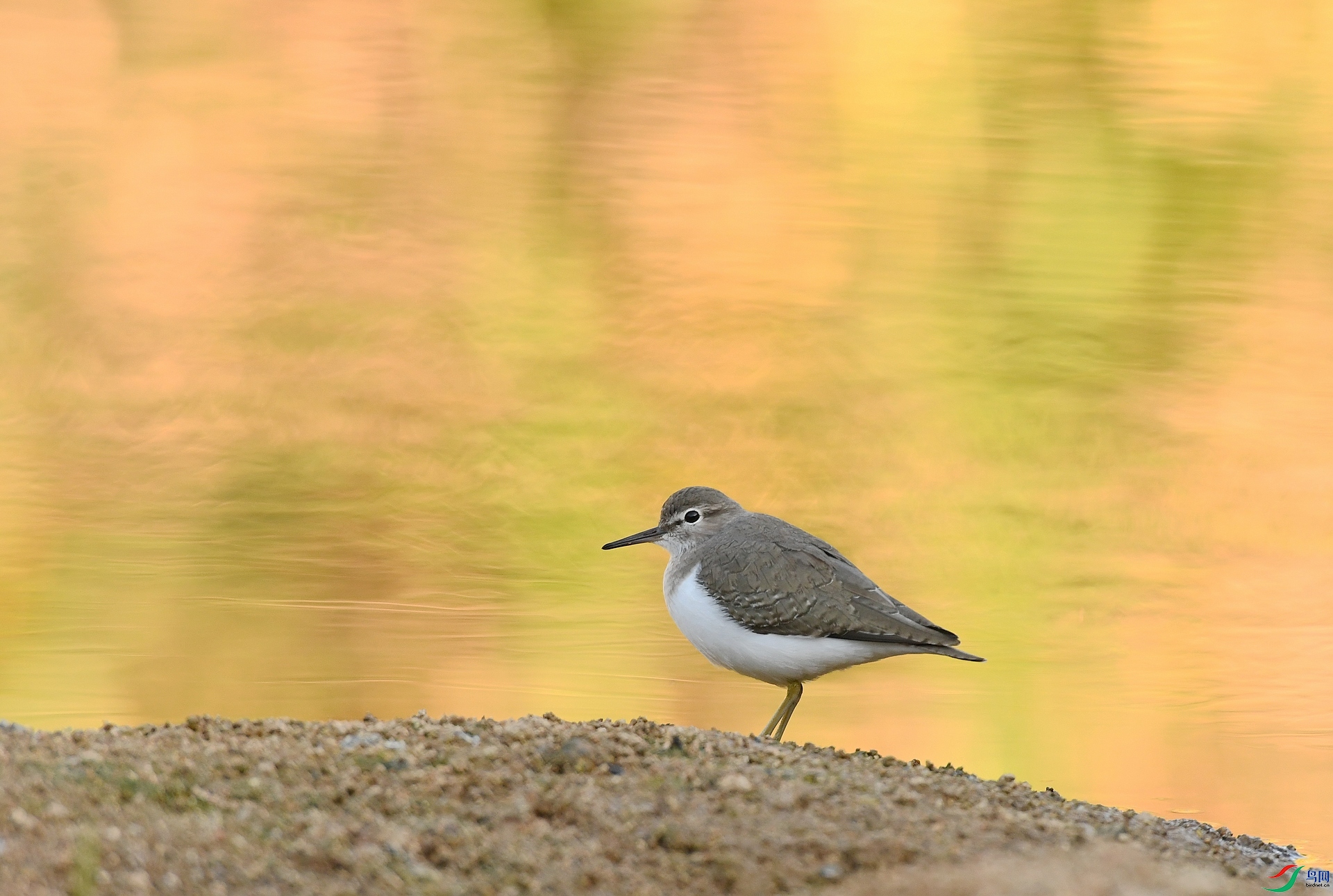 DSC_9048.jpg