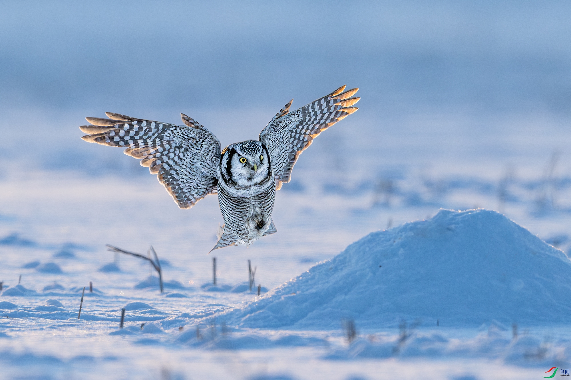 _DSC3896 ����С.jpg