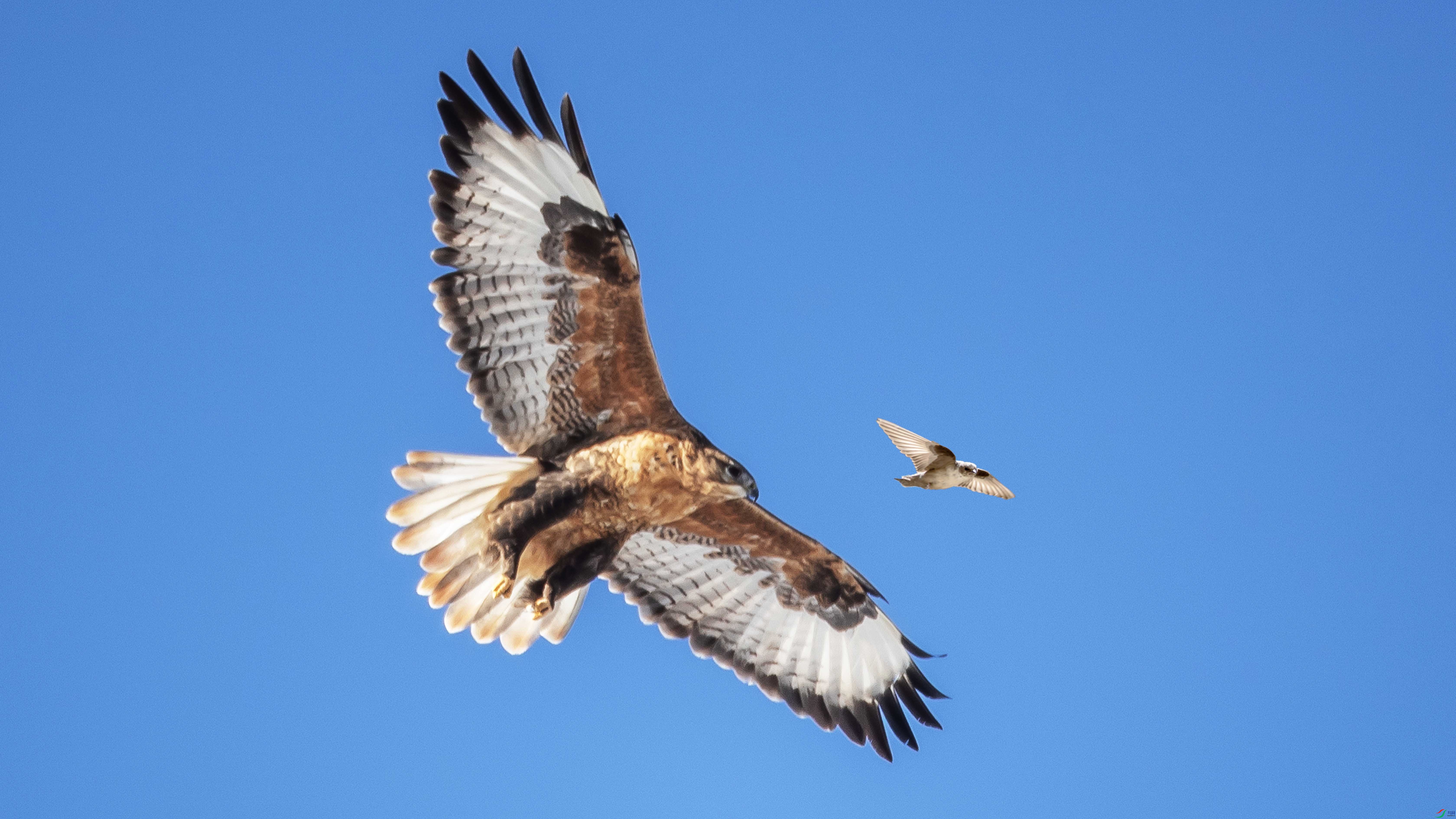 I99A2188 �ʺ� ����.jpg