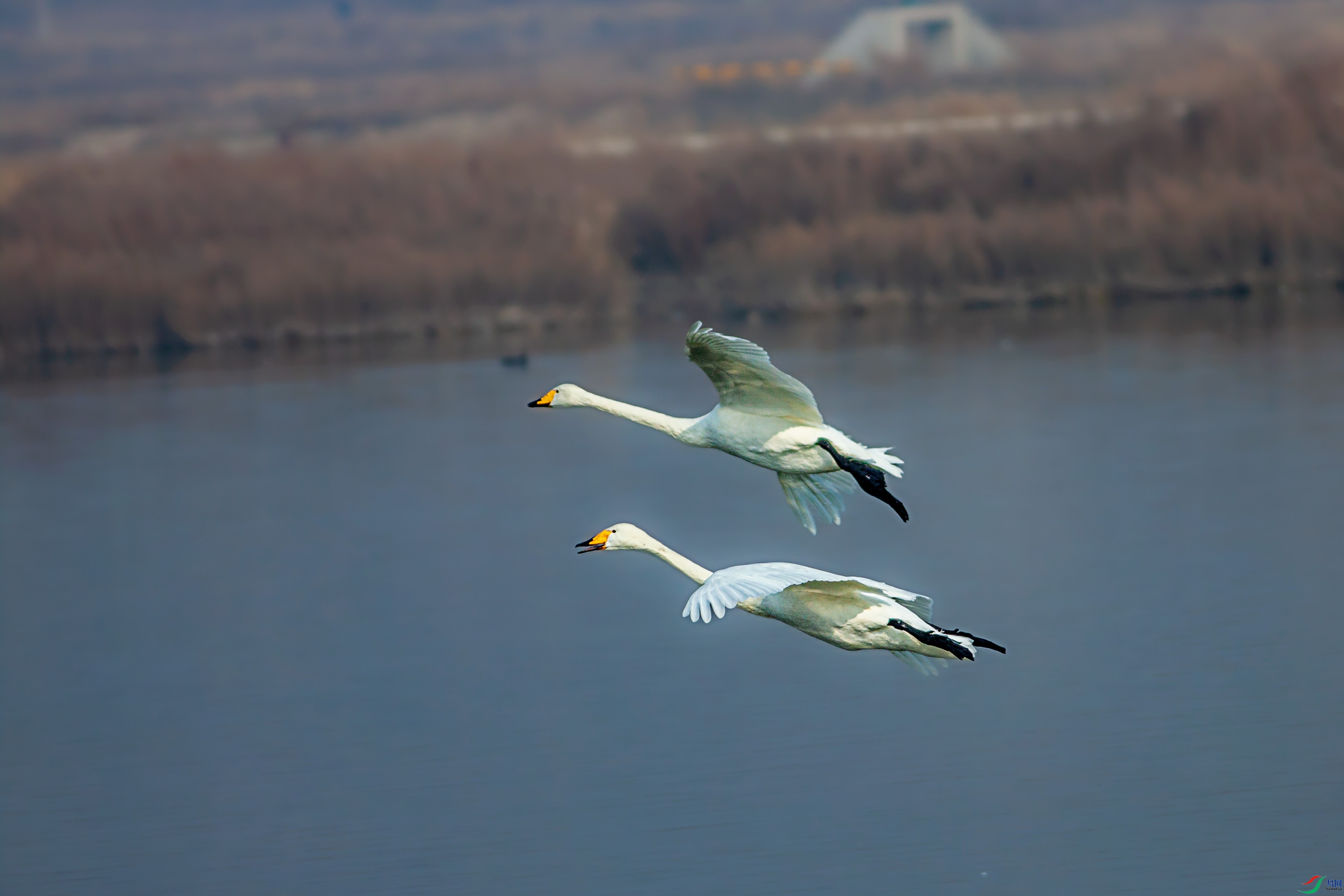 IMG_3051.jpg