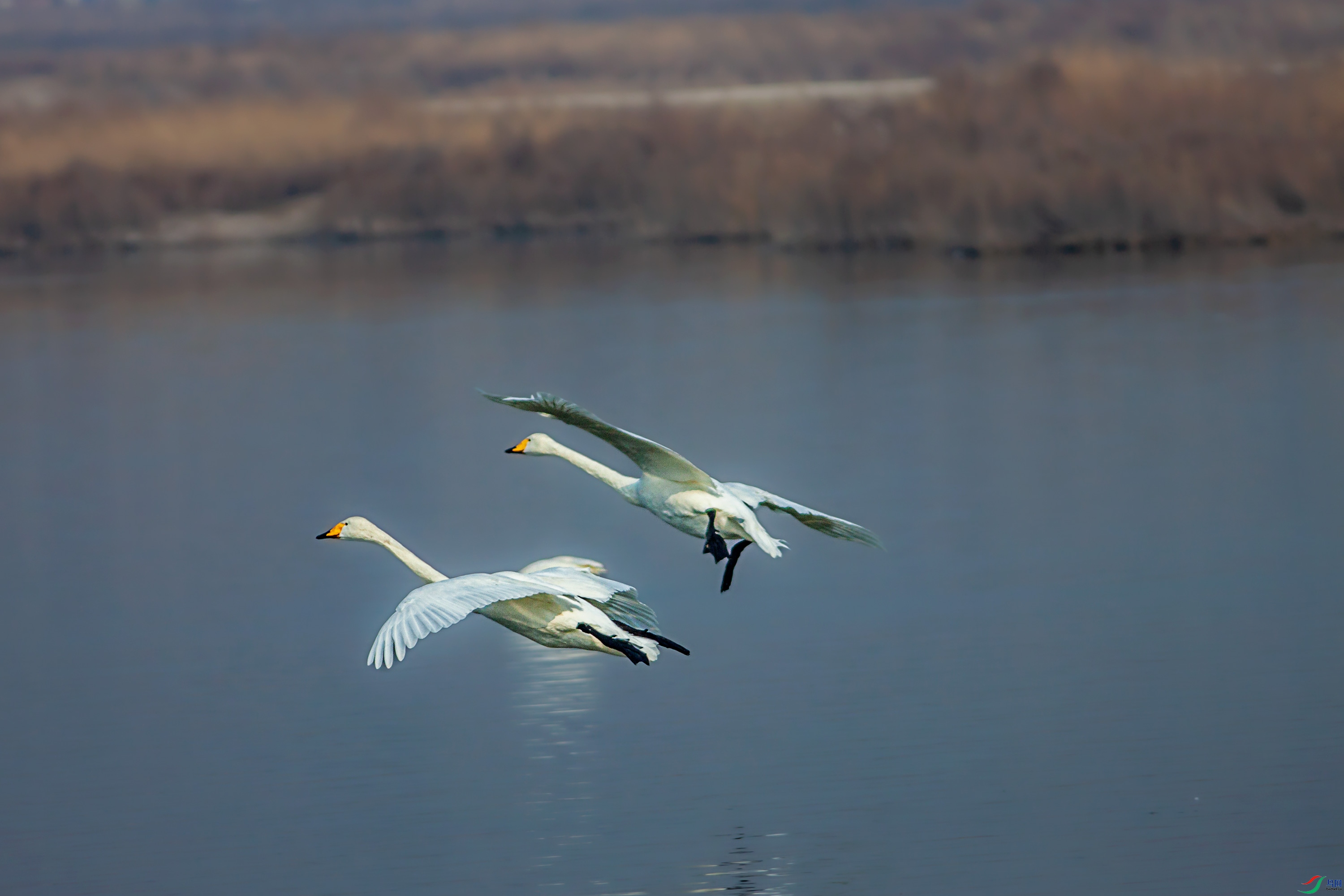 IMG_3052.jpg