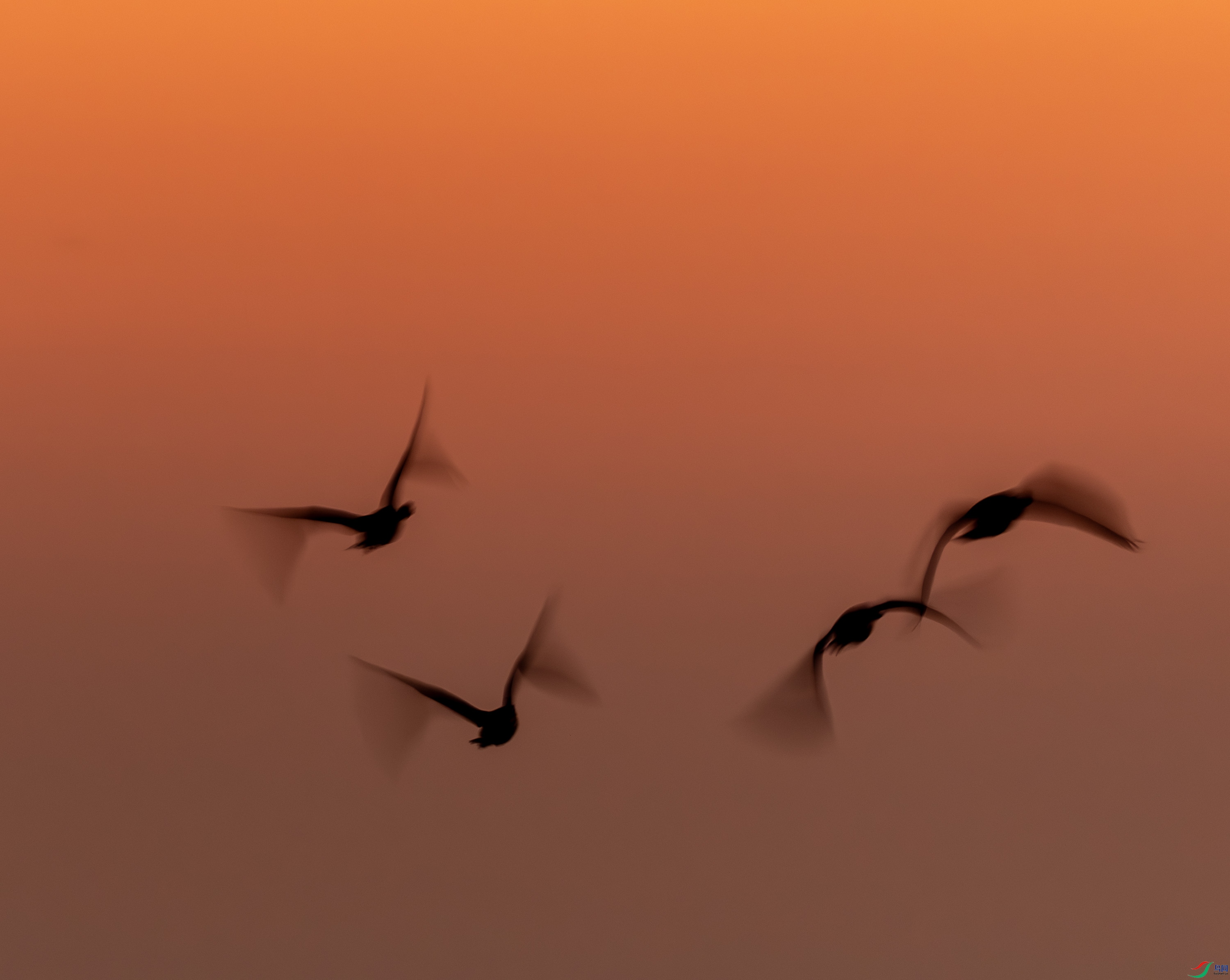�����-01-4.jpg