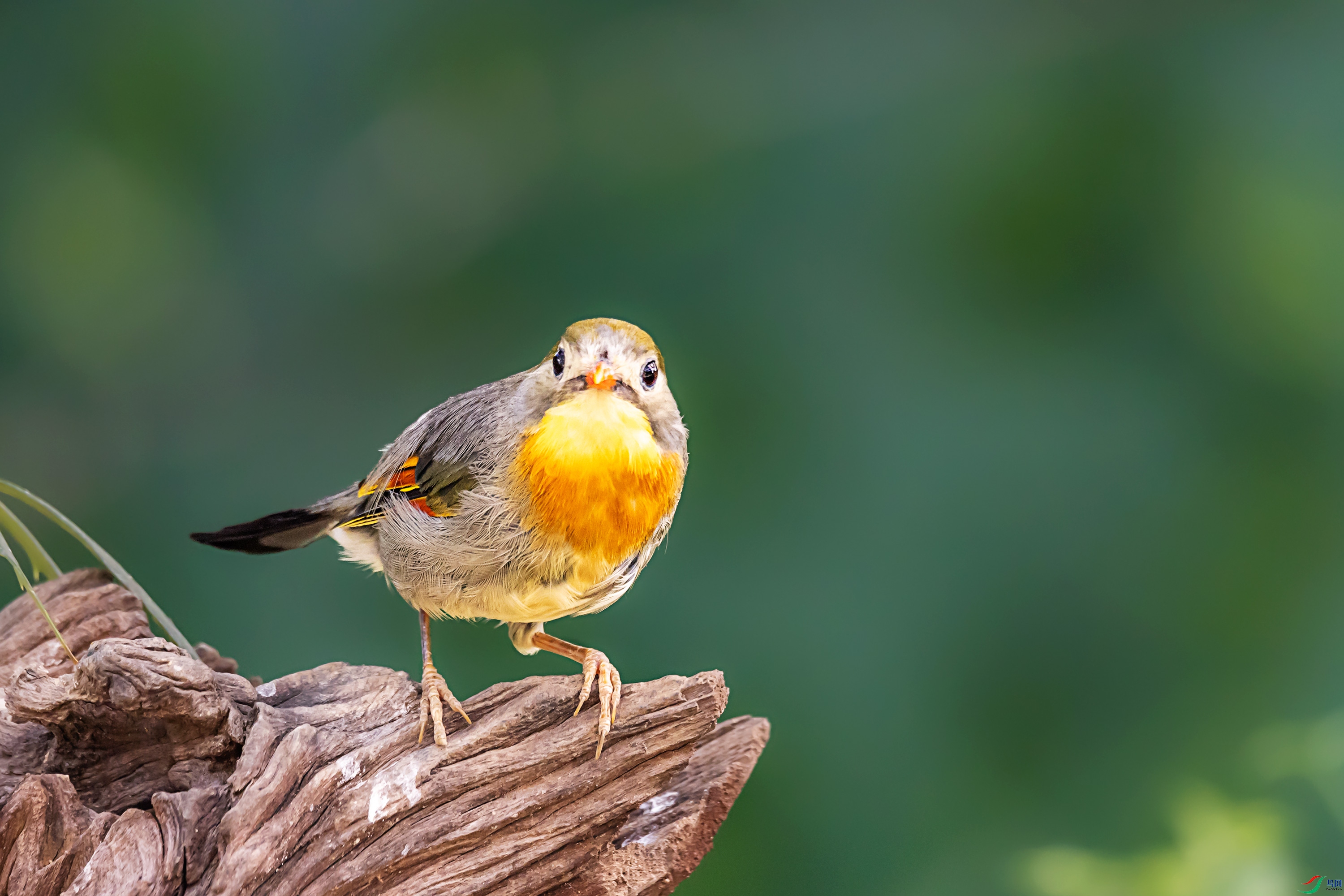 278A3049.jpg