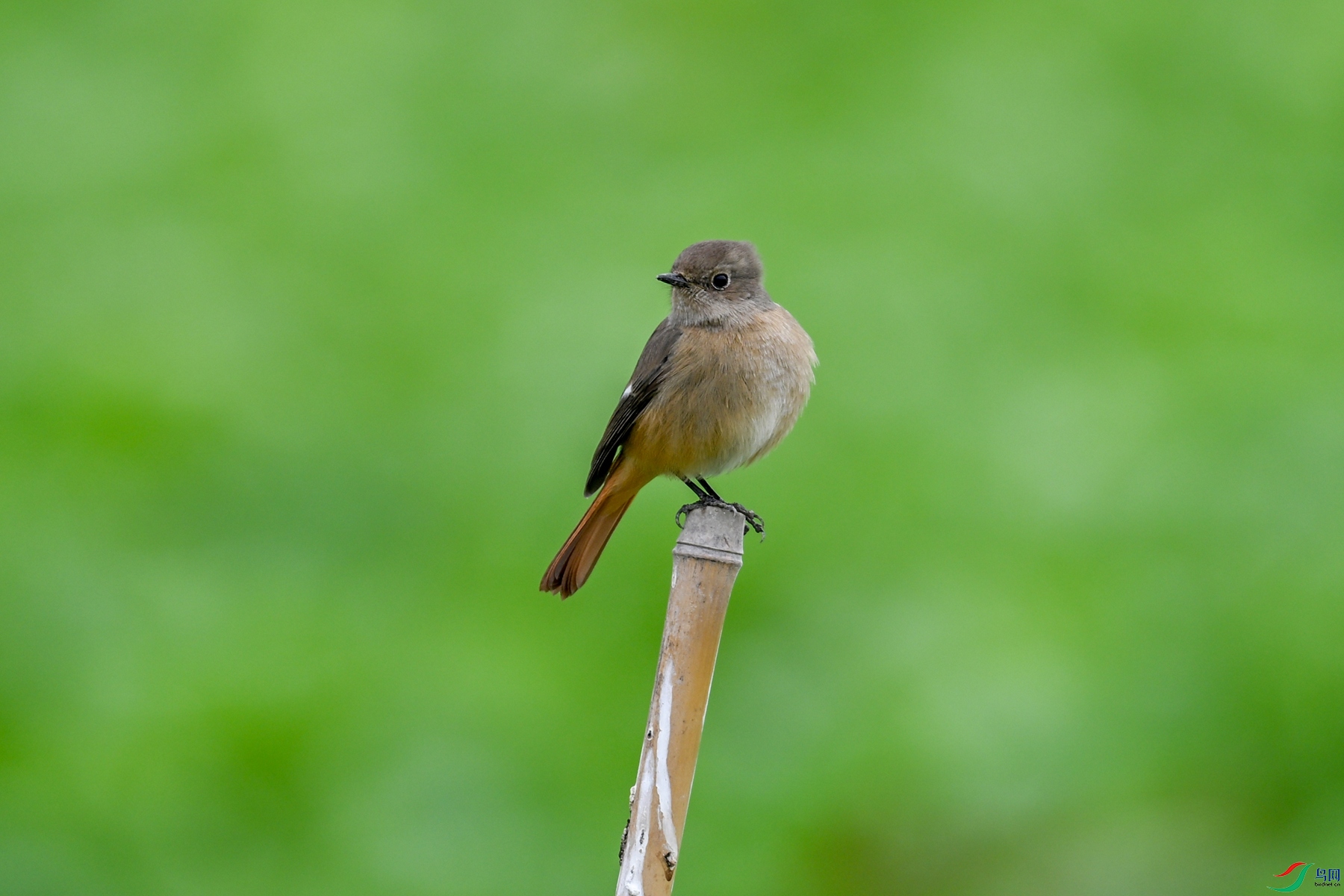 DSC_5338.JPG