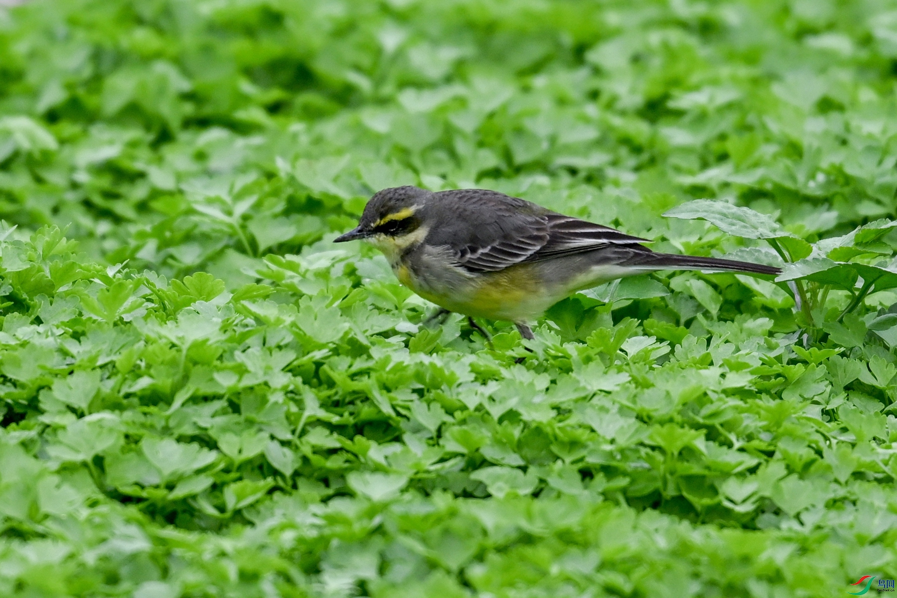 DSC_5782.JPG