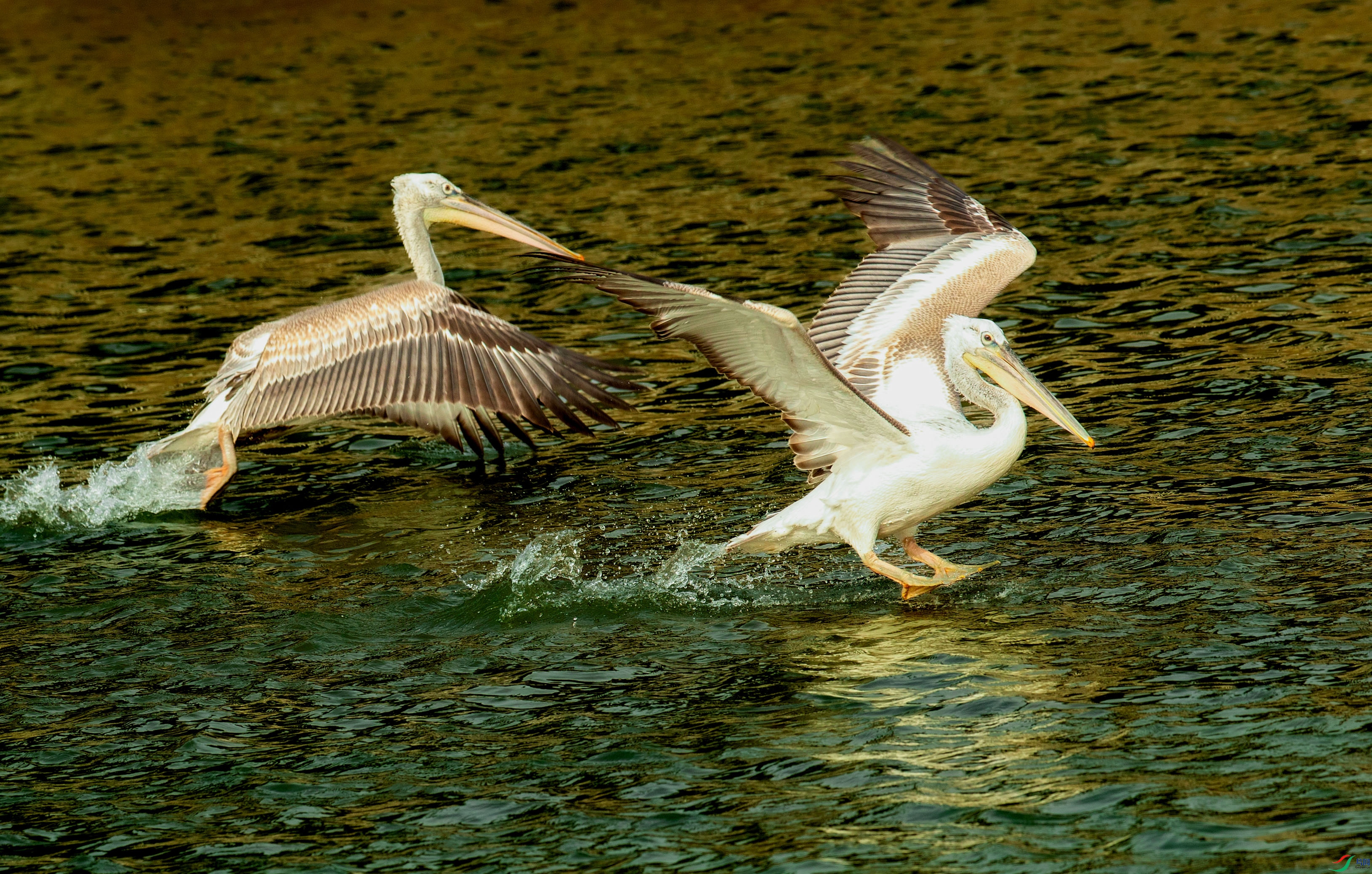 _U4I5693 ���� 2.jpg