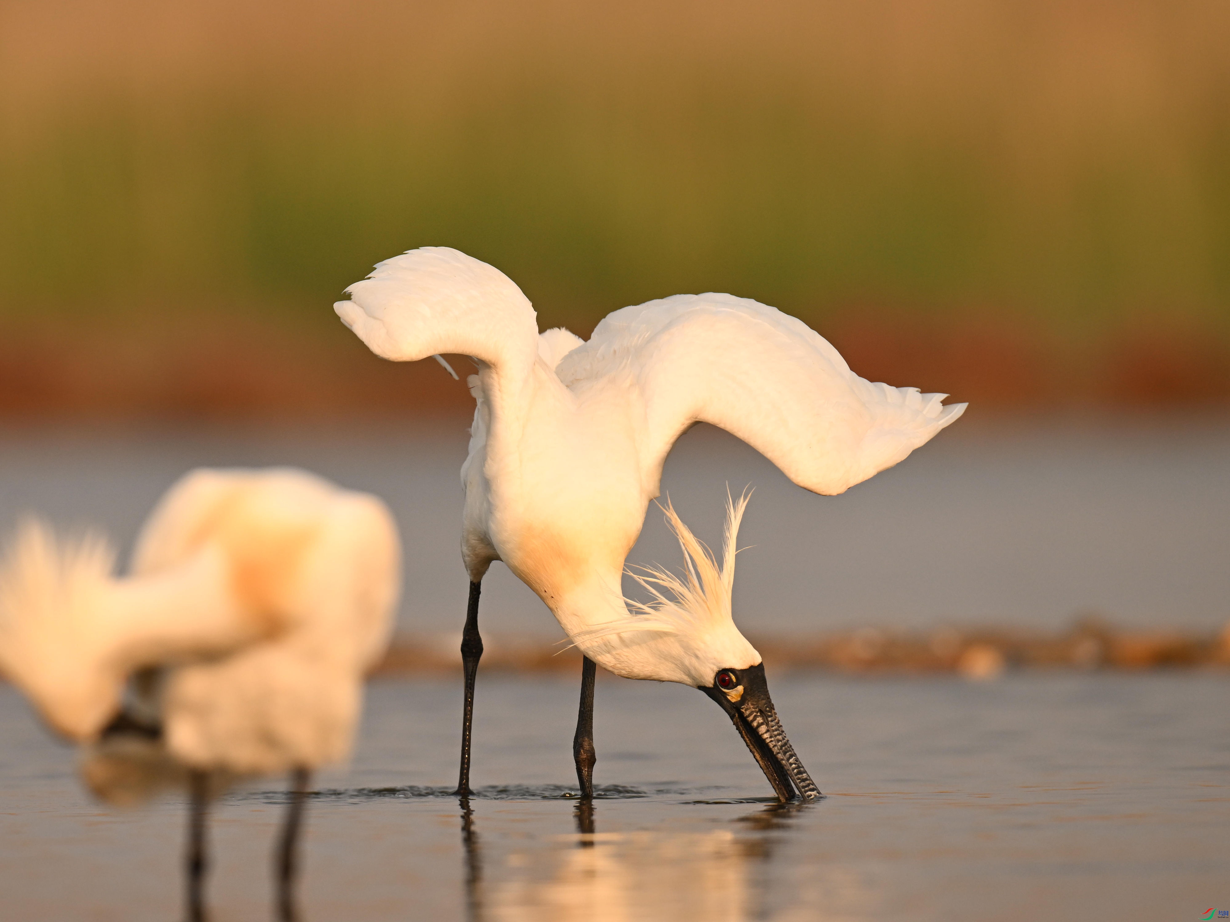 �������� (9).jpg