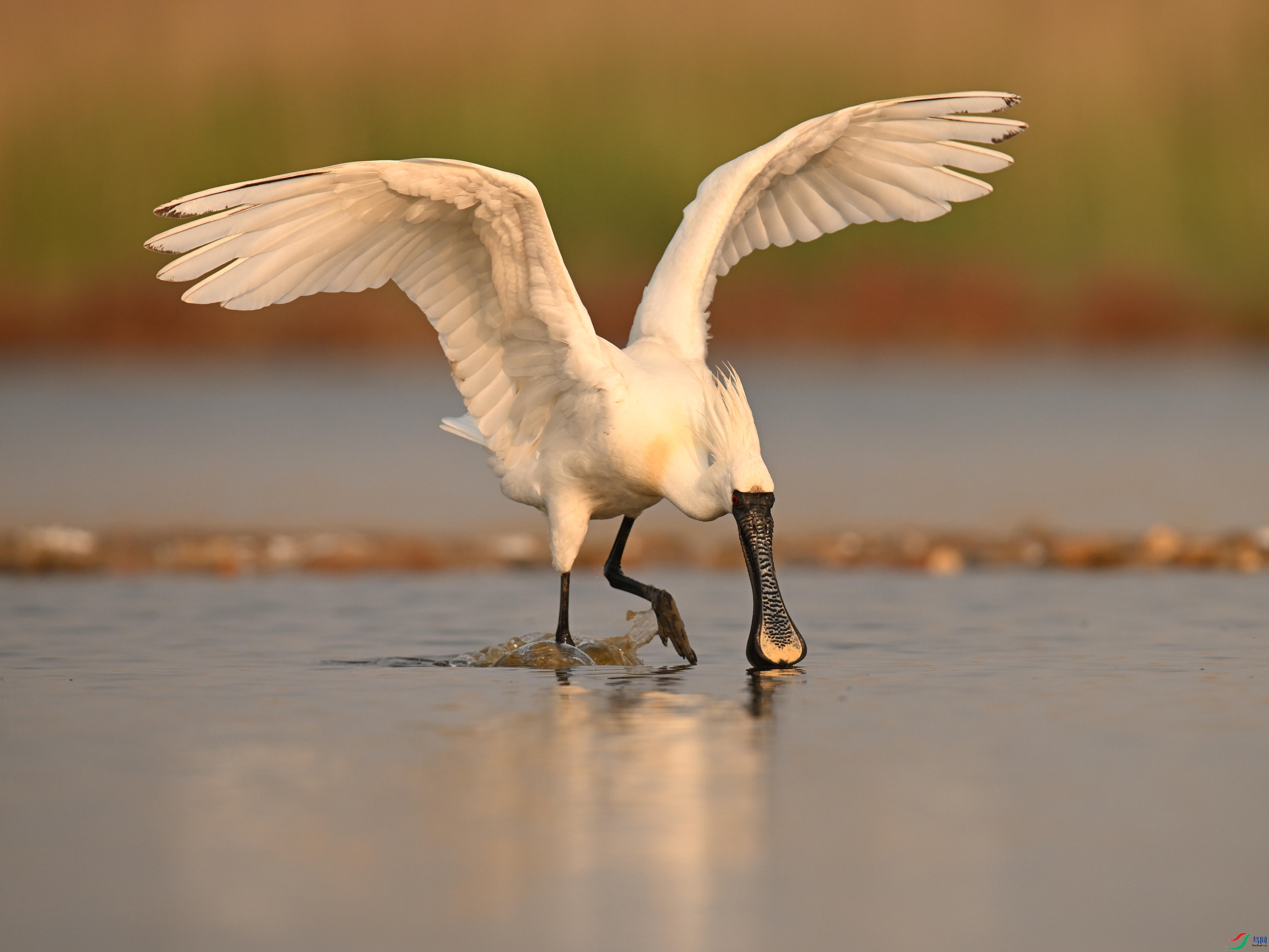 �������� (16).jpg