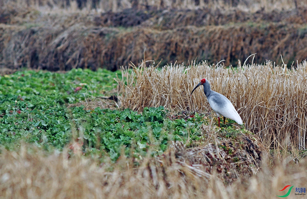 IMG_9858.jpg
