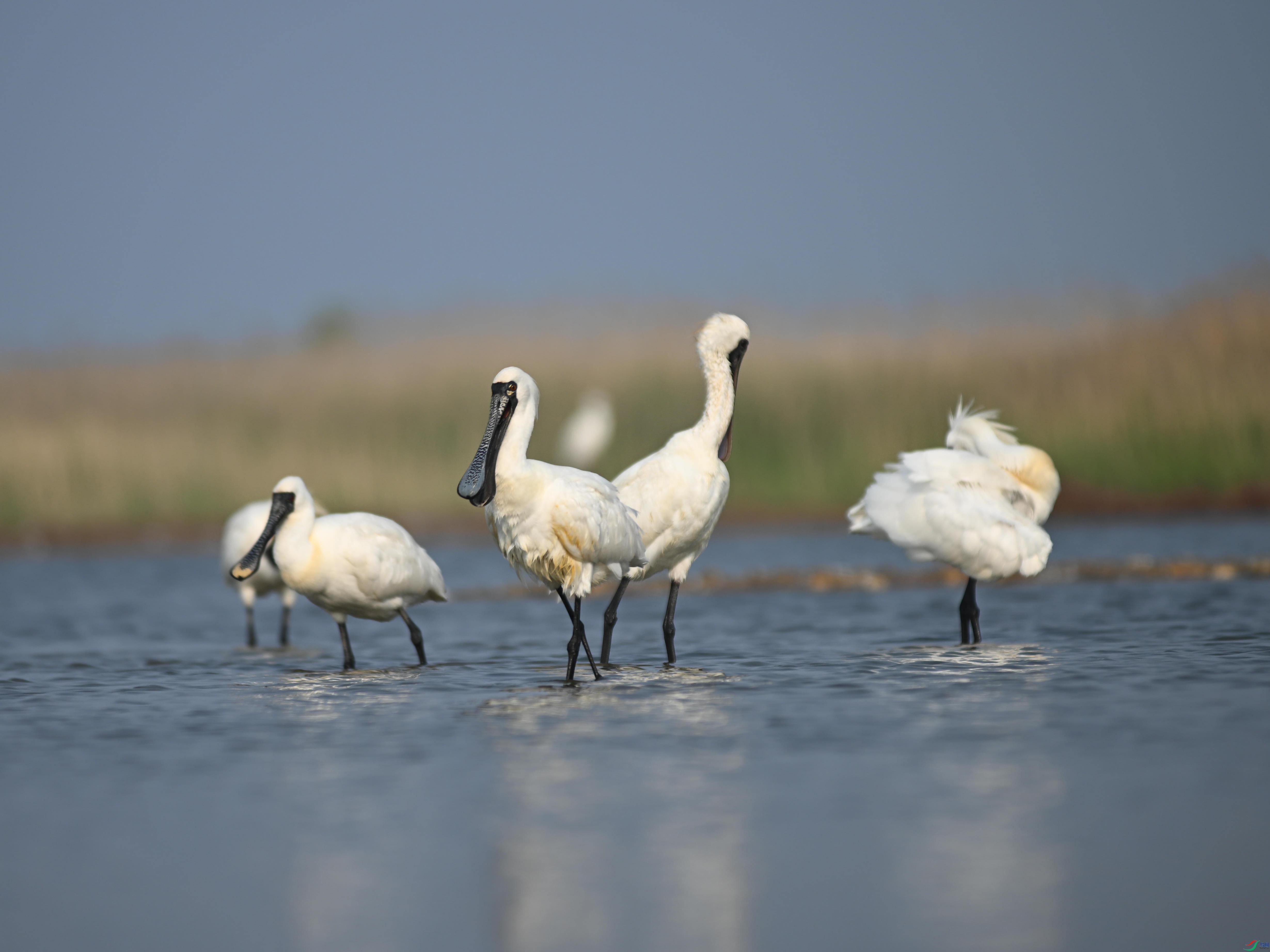 �������� (22).jpg