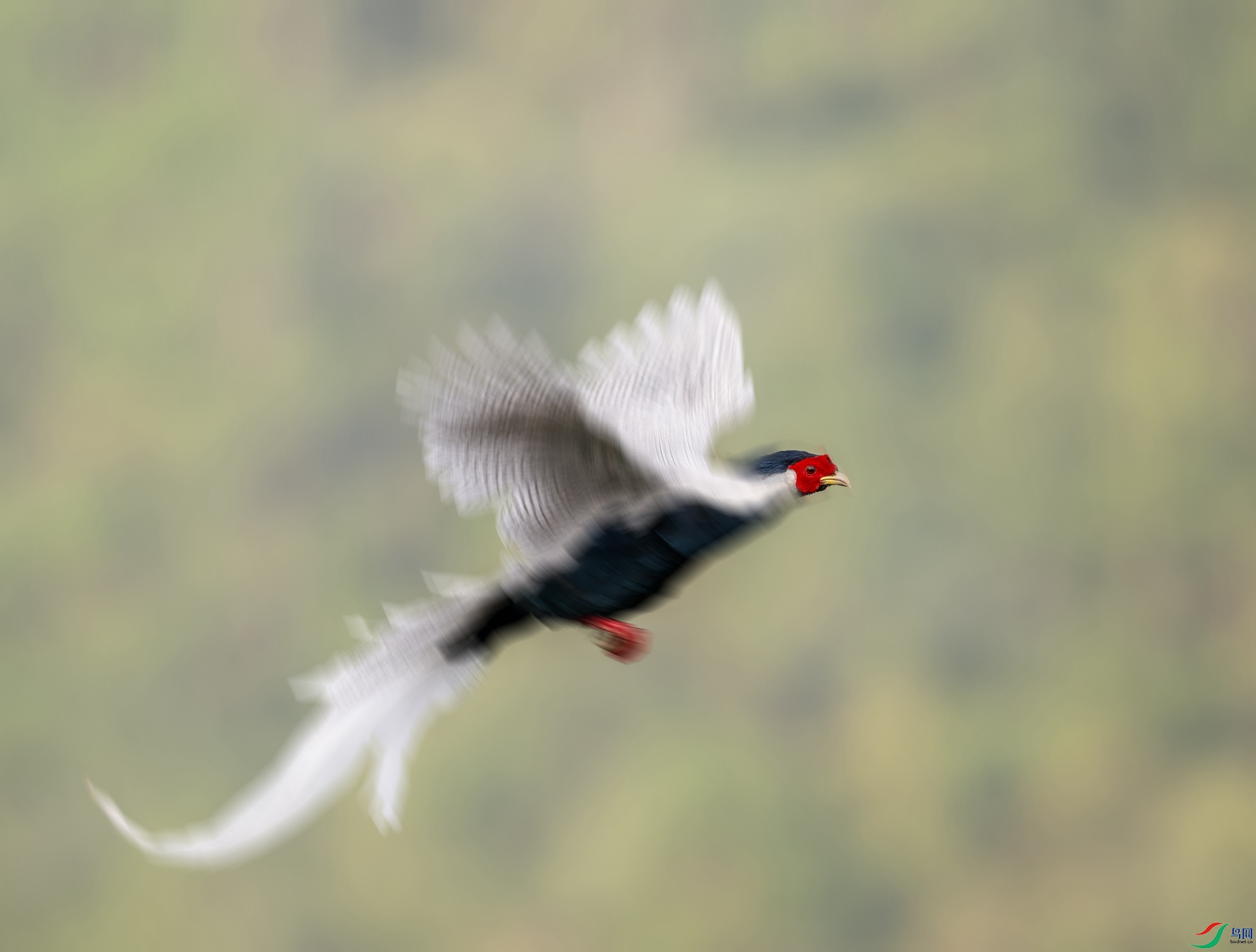 DSC_8230.jpg