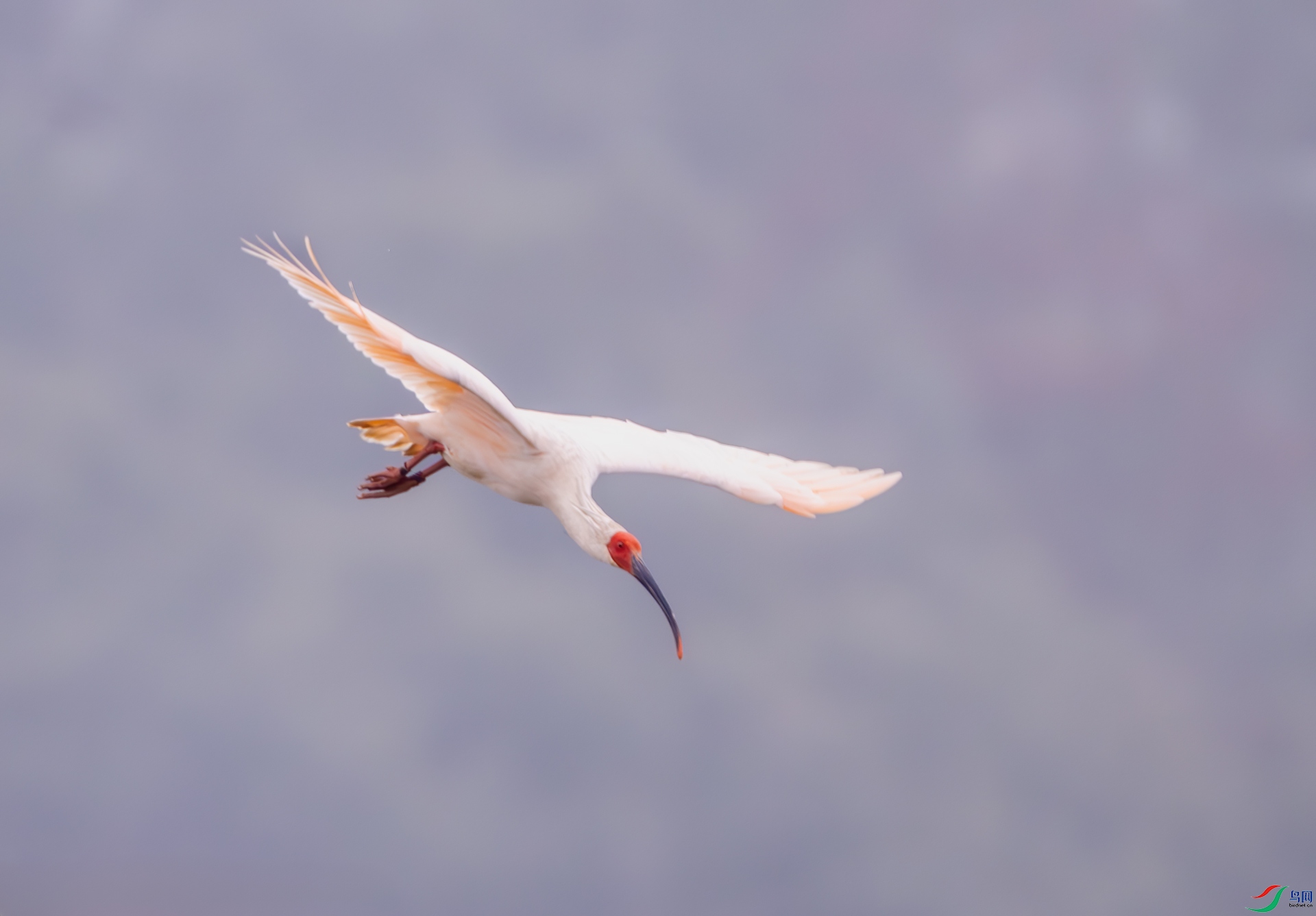 DSC_5263-1.jpg