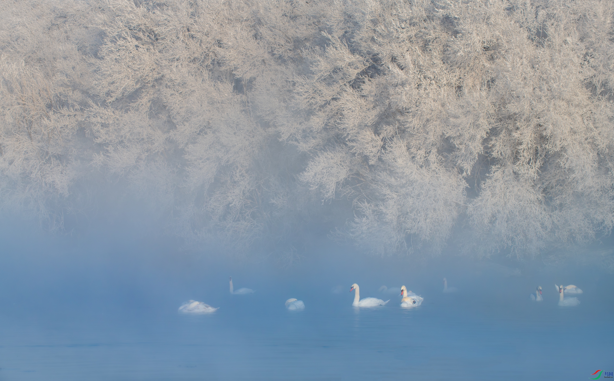 DSC_1634-11X.jpg
