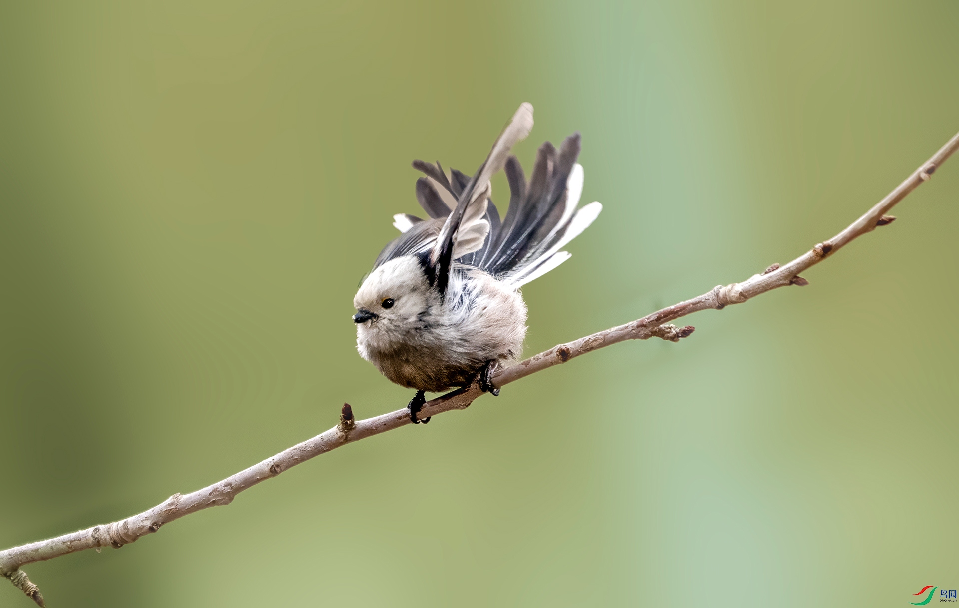 DSC01494 ����.jpg