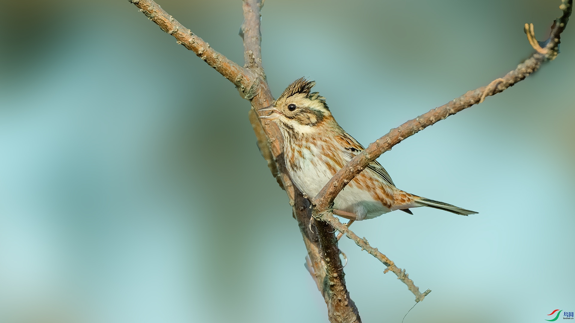 DSC_0555 ����.jpg