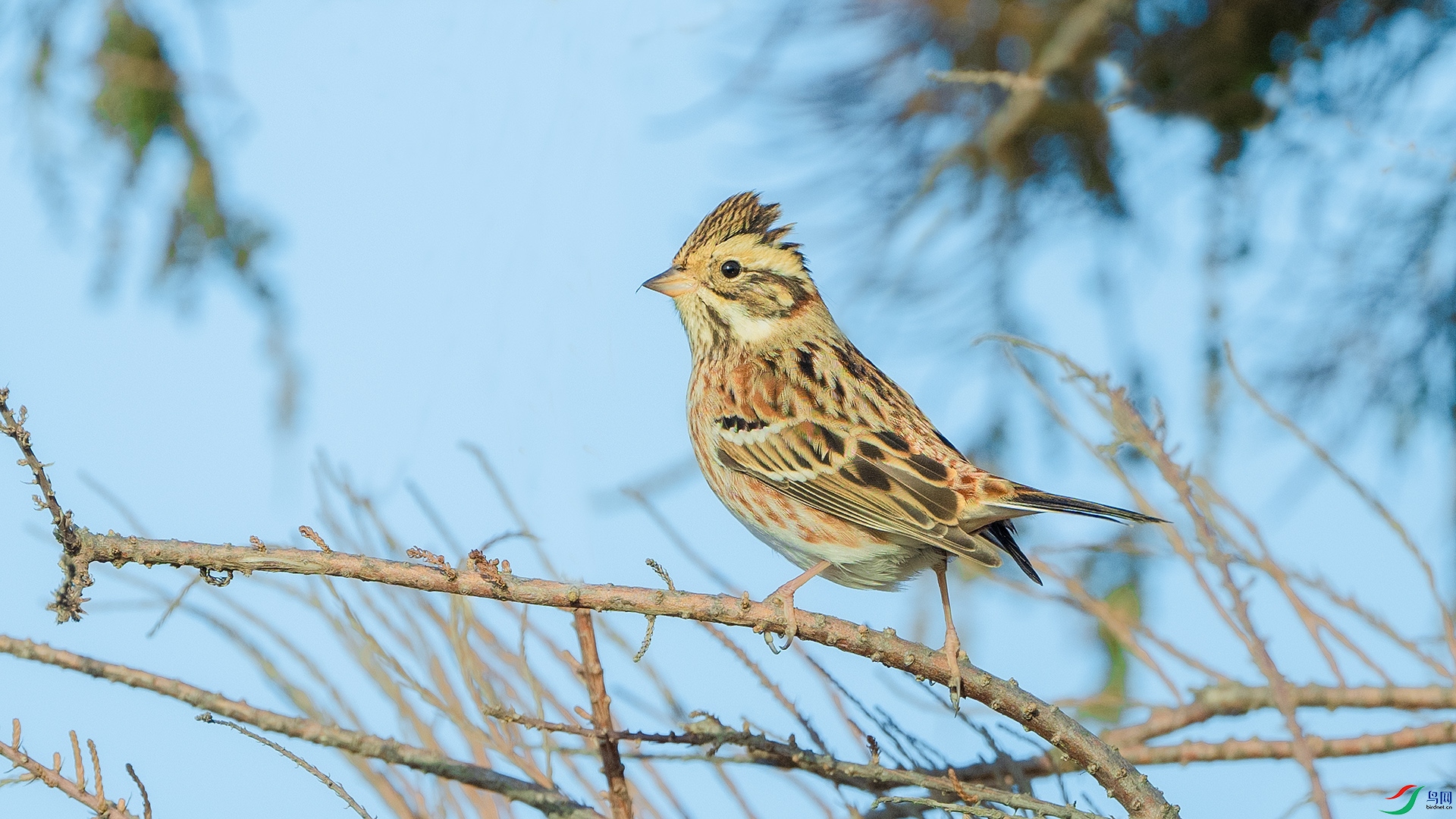 DSC_0569 ����.jpg