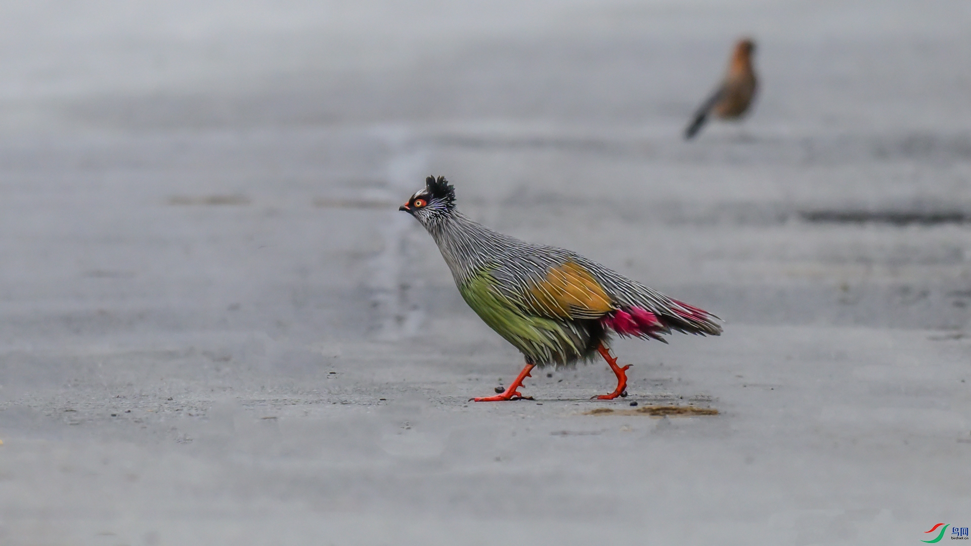 _DSC4159 ����_����.jpg