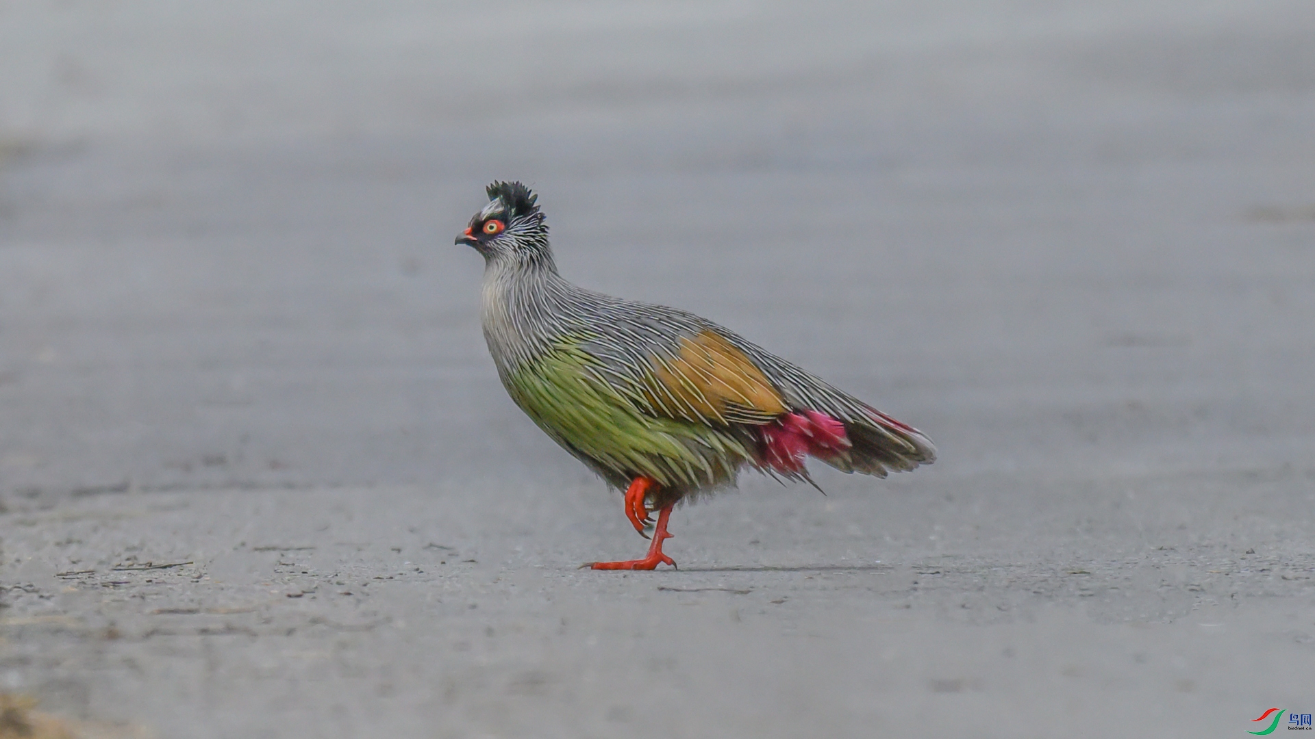 _DSC4185 ����_����.jpg