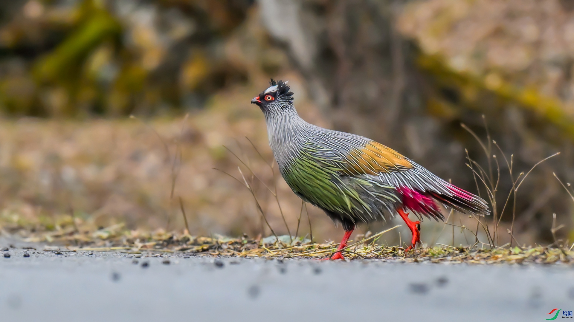 _DSC4218 ����_����.jpg