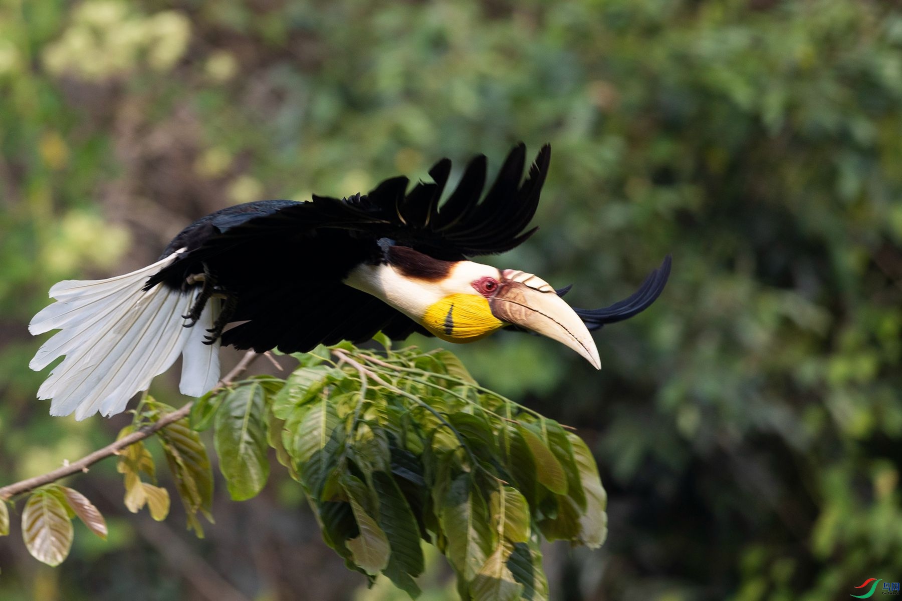 �޿�����Ϭ��