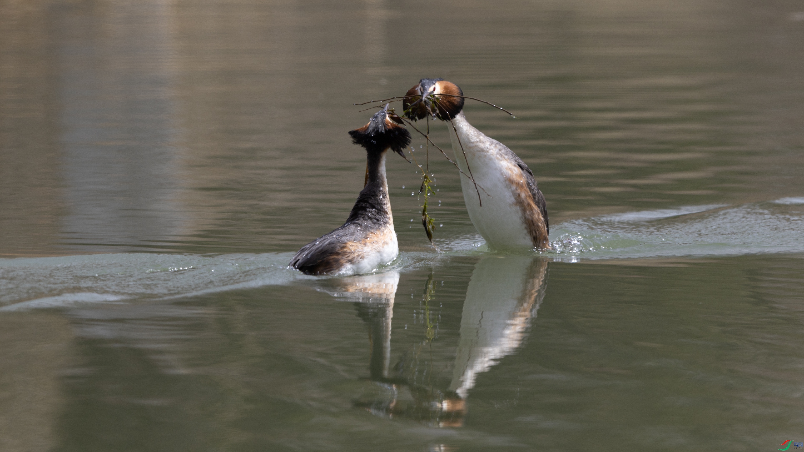 _O7A9549 ����.jpg