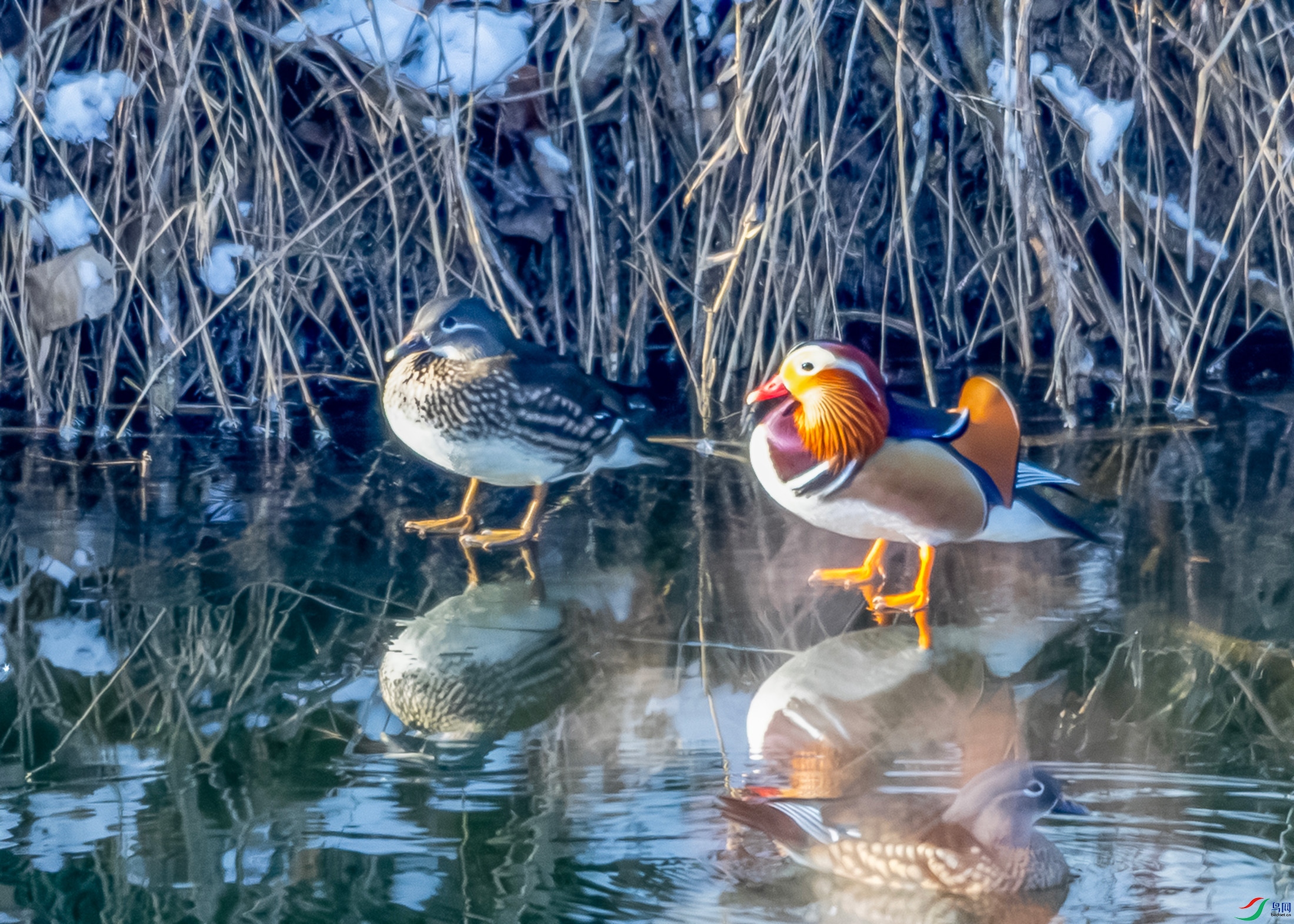 IMG_9312 ����.jpg