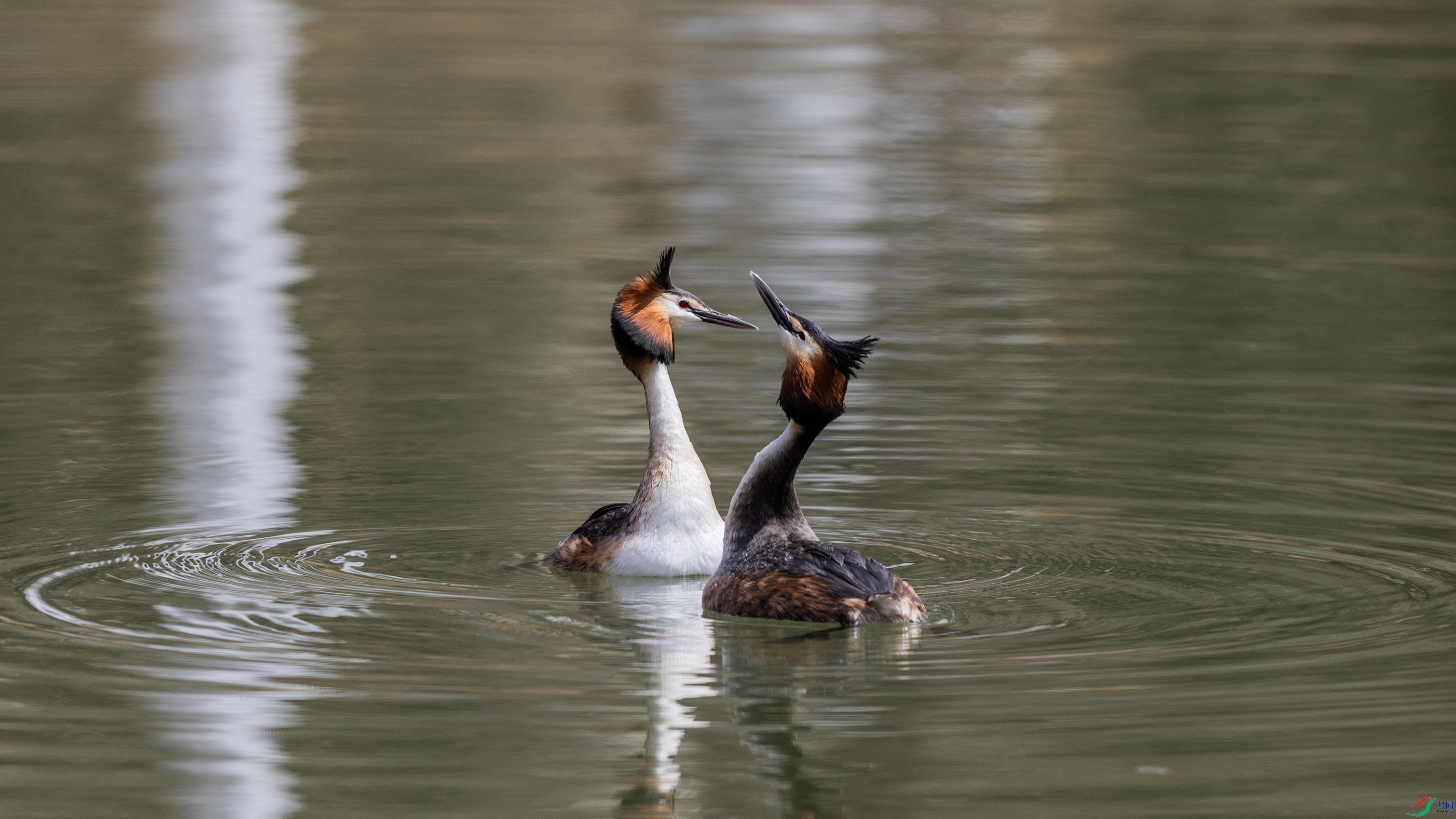 _O7A9541 ����44444.jpg