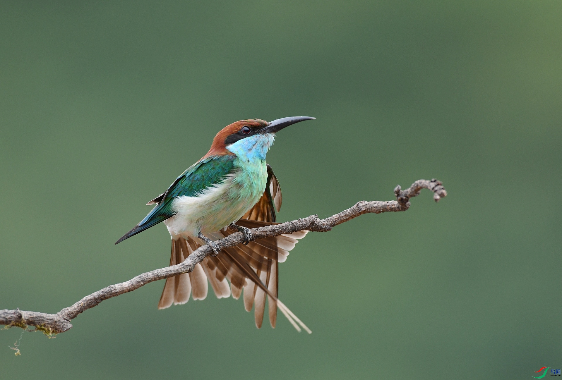 DSC_0922.jpg
