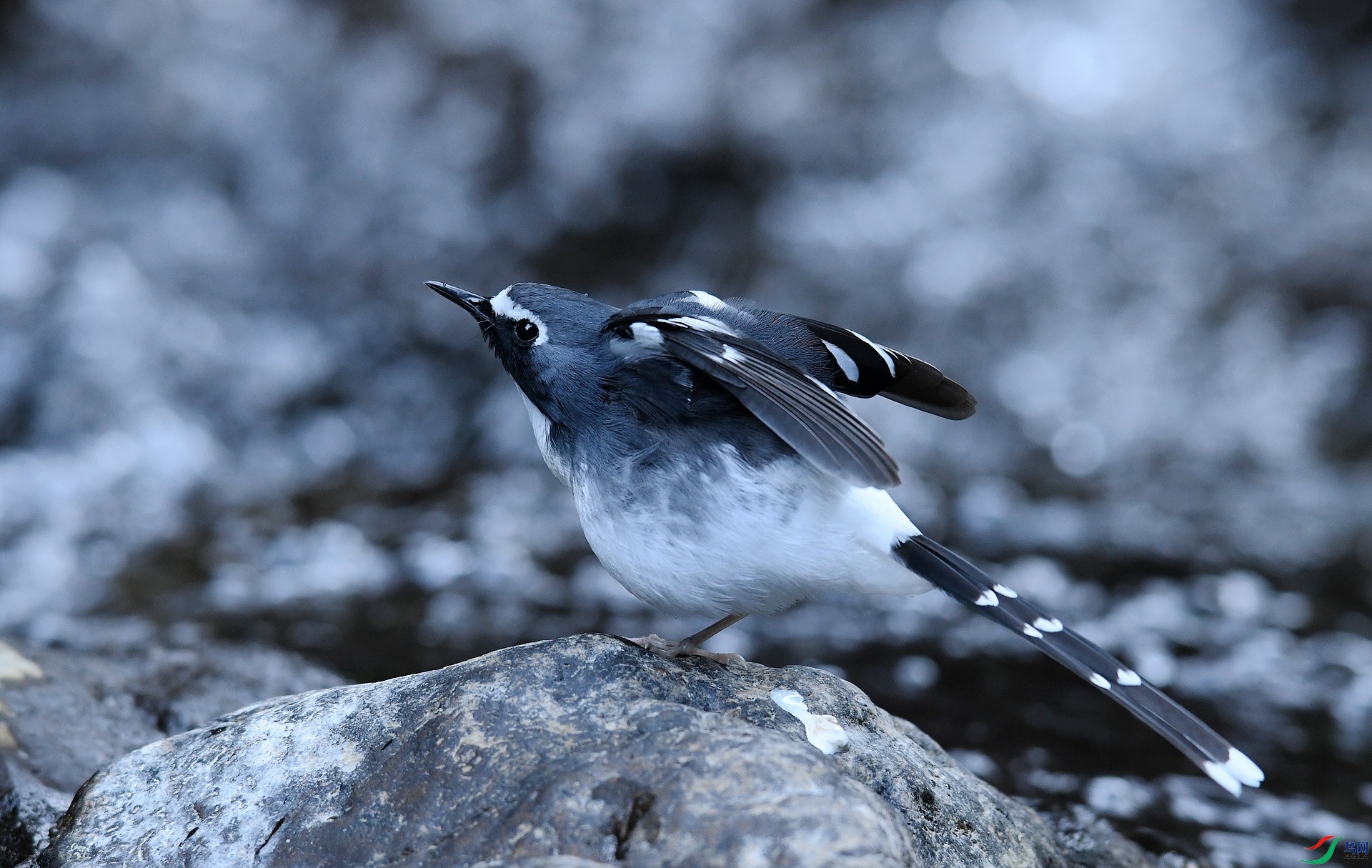 DSC_4942.jpg
