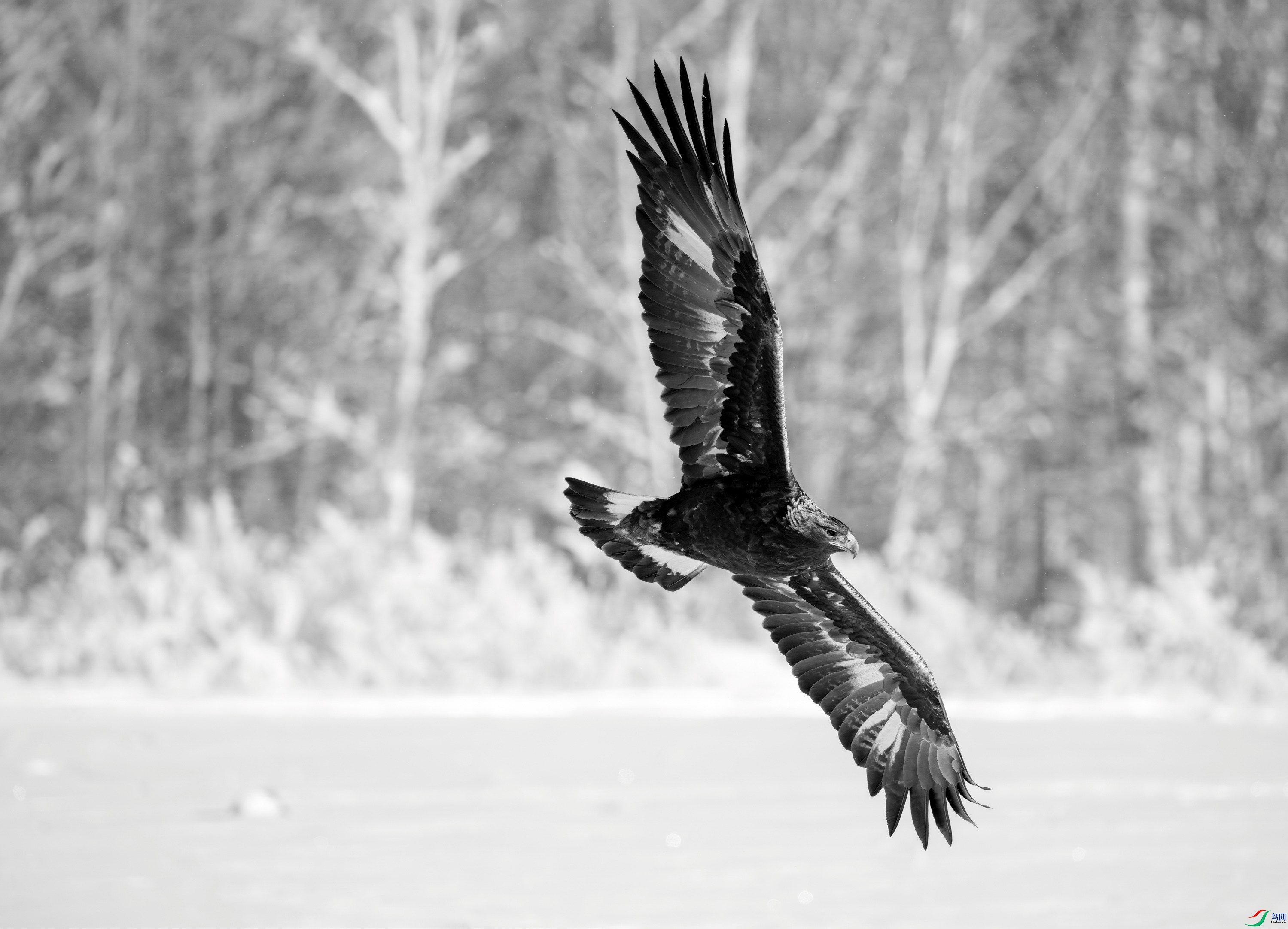_DSC2590_084901_polarr.jpeg