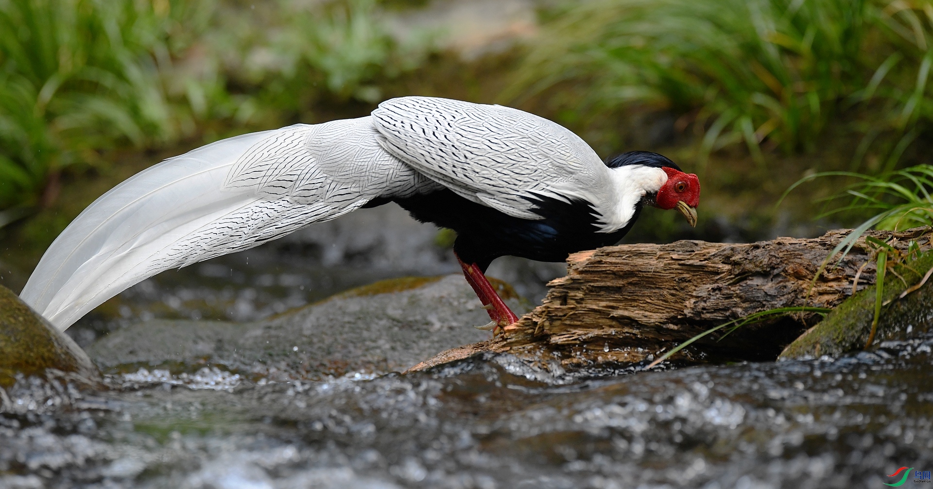 DSC_8631.jpg