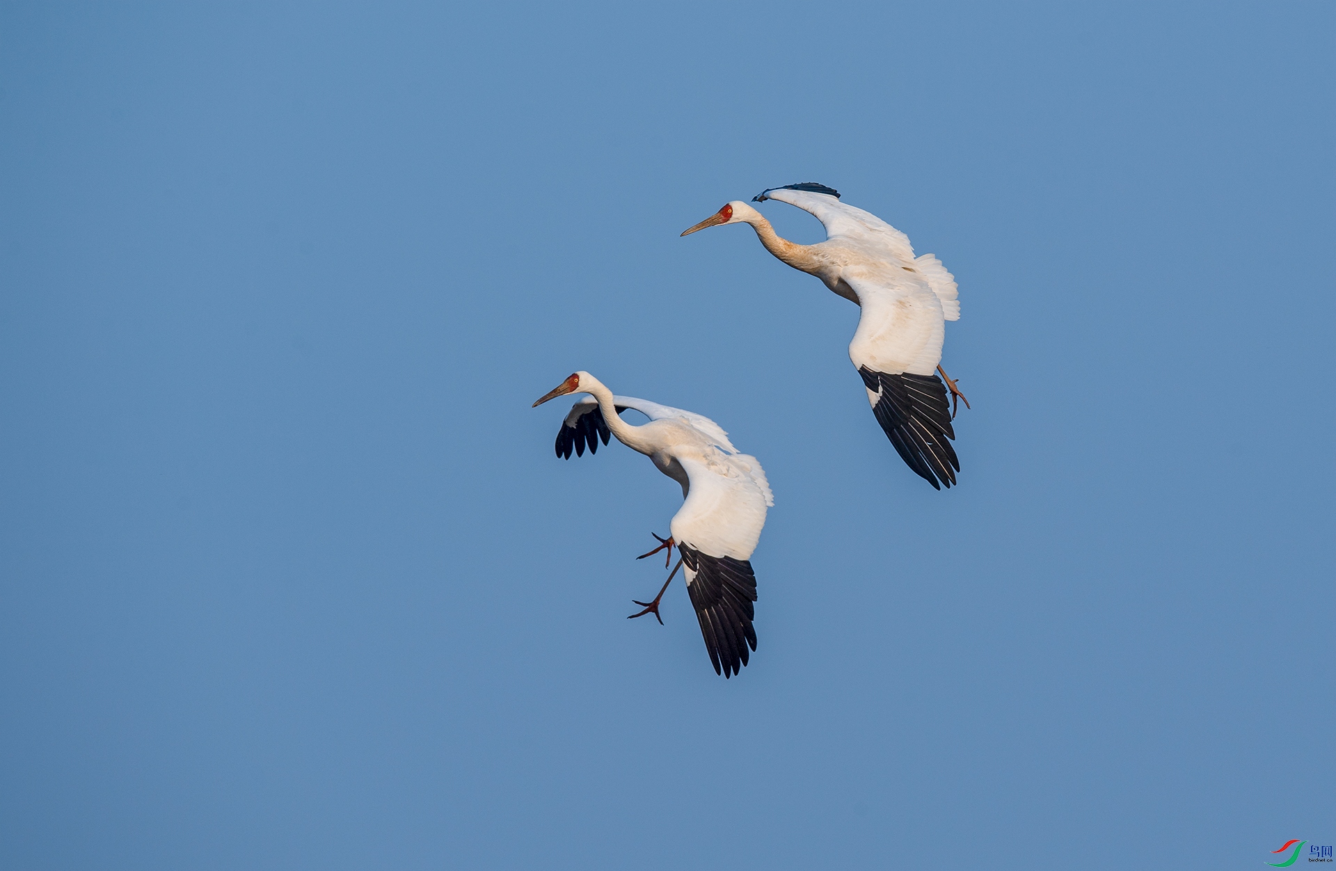 DSC_�׺�-1 - ���� (2).jpg