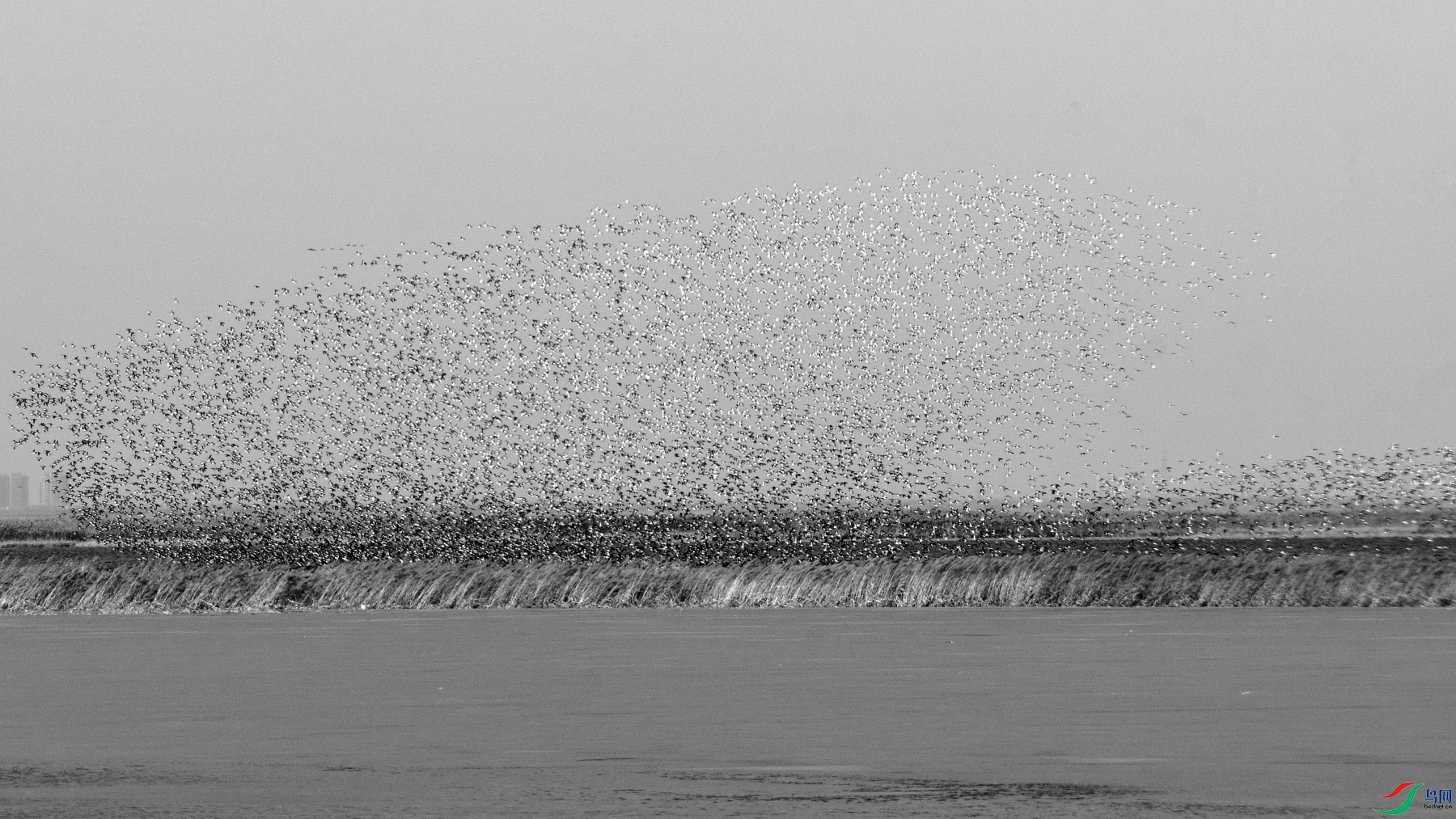 DSC_2705.JPG