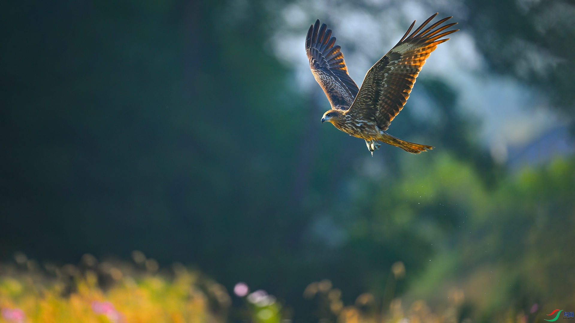 XIA_8673 ���� 3.jpg