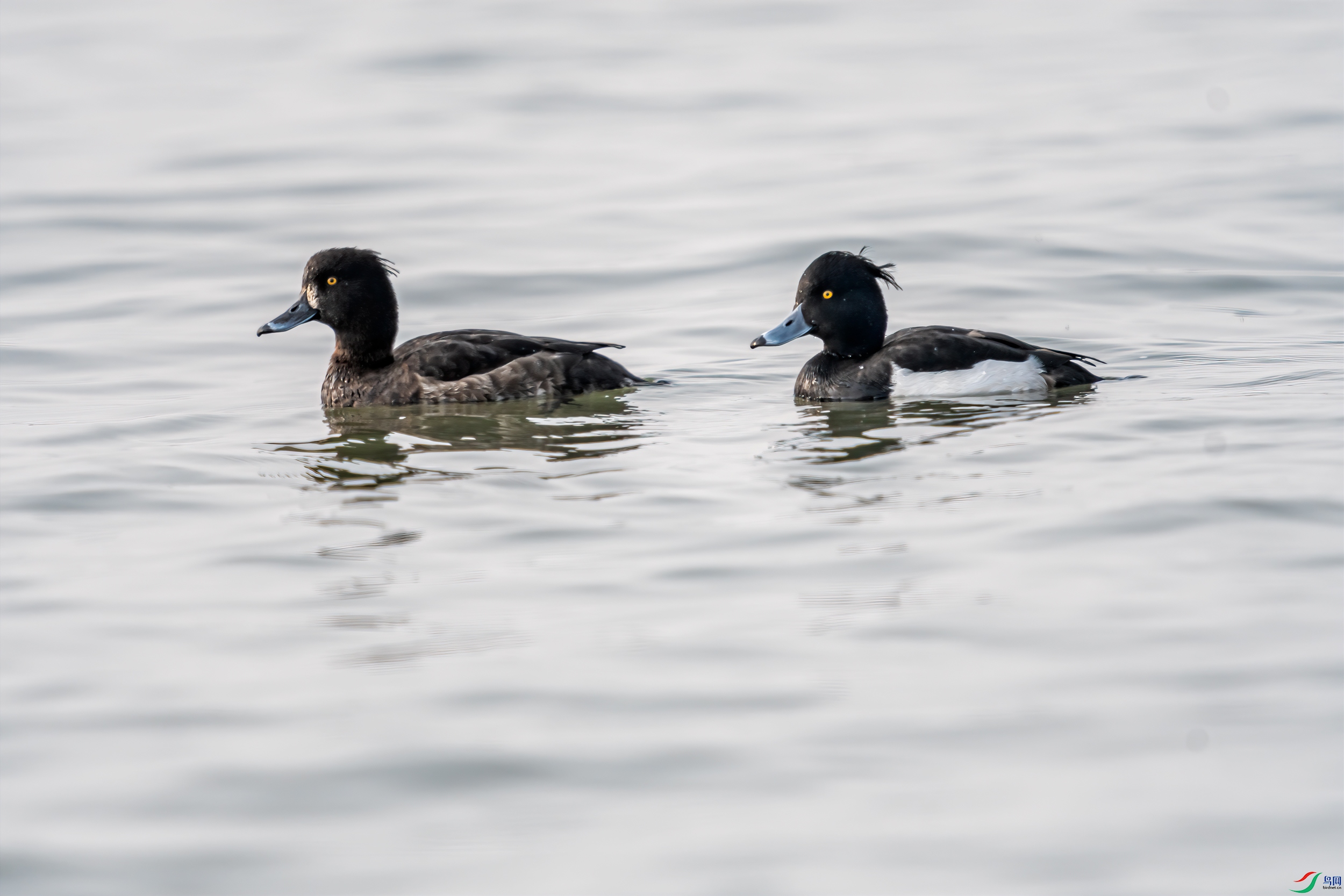 DSC_3182-1a.jpg