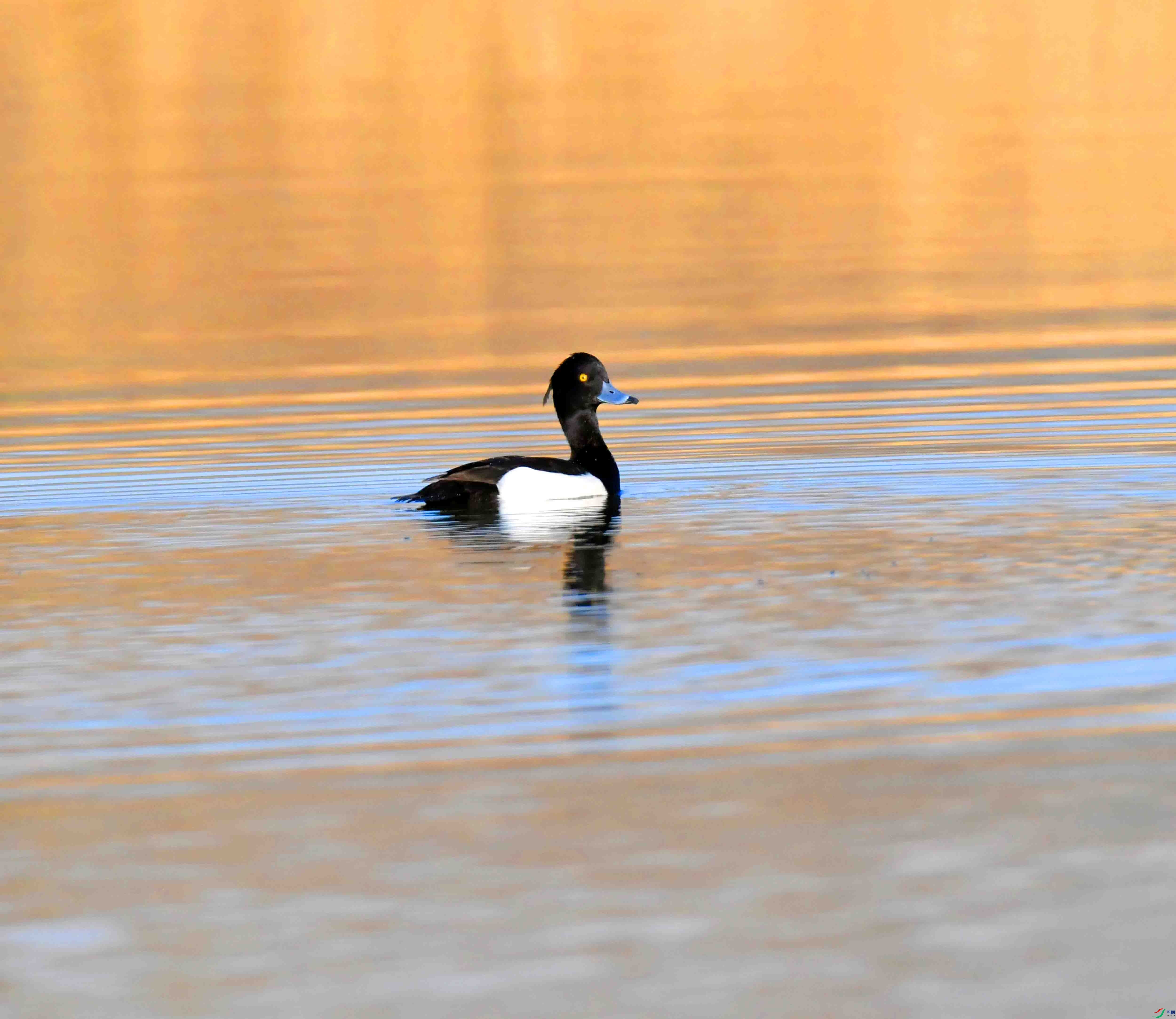 DSC_8314.JPG